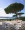 Les Parcs de St Tropez - l’un des domaines les plus prestigieux de Saint-Tropez