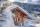 Les 10 meilleures stations de ski pour une pause enneigée dans les Alpes