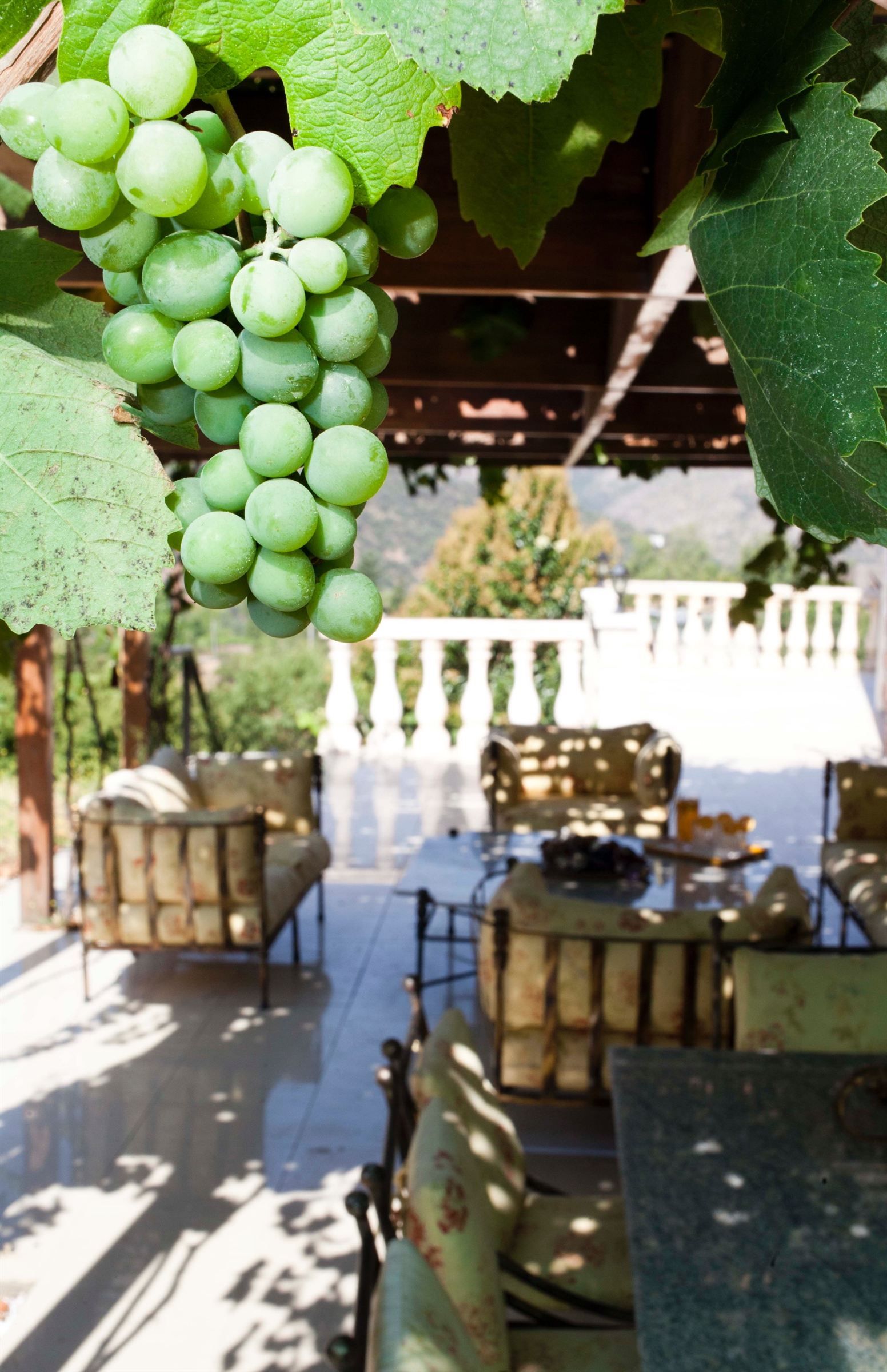 propriété 35 Pièces en vente sur Santiago de Chile (358000)