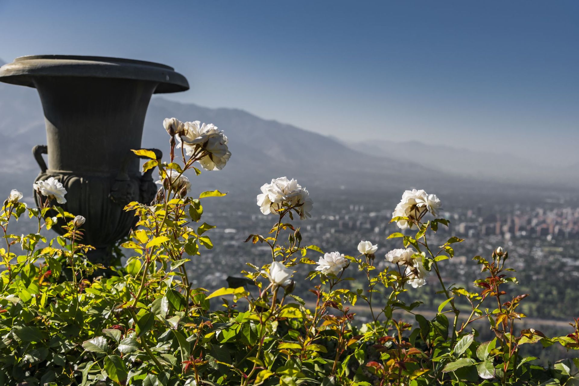 propriété 19 Pièces en vente sur Santiago De Chile (750000)