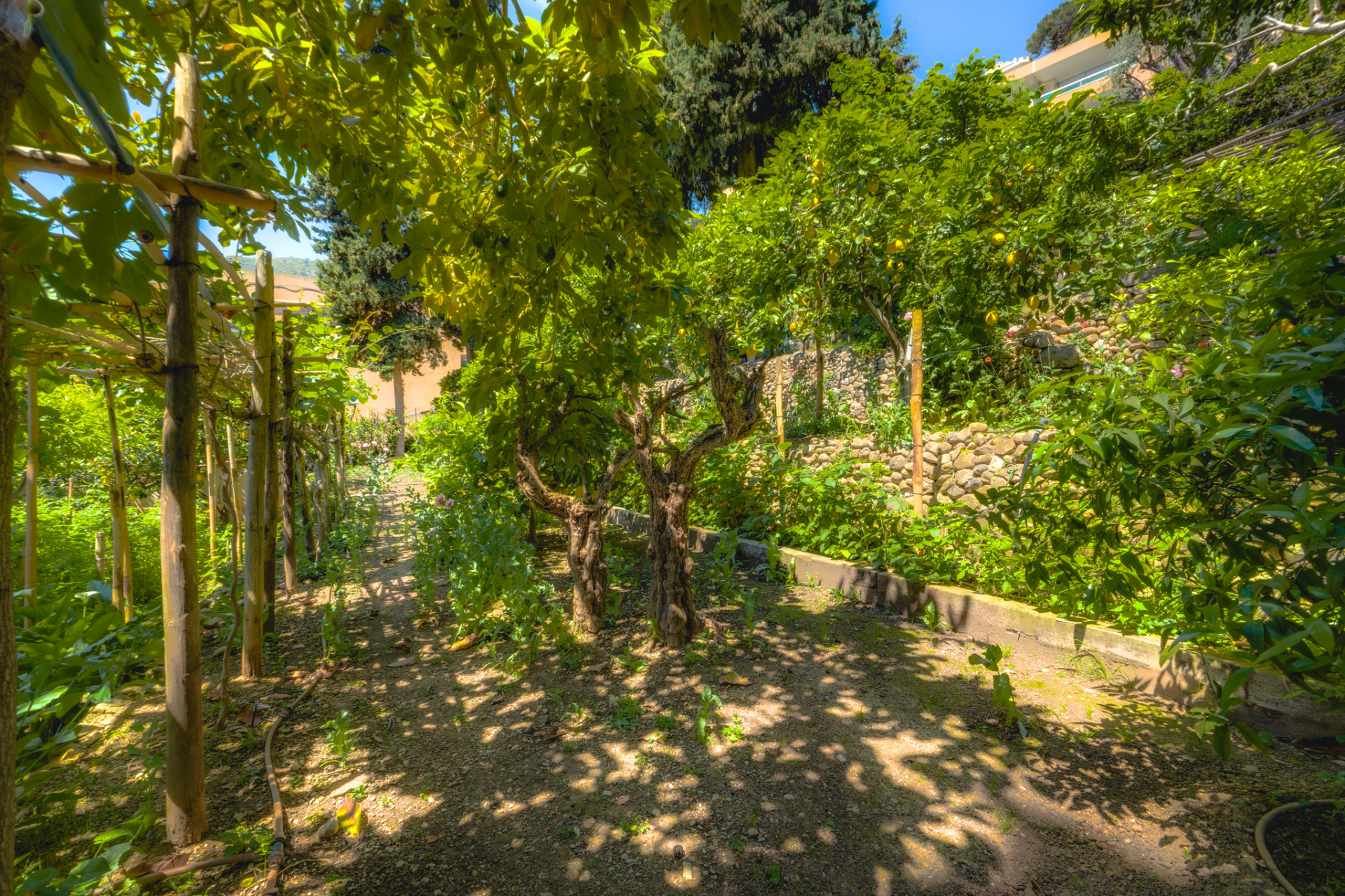 maison provençale 8 Pièces en vente sur ROQUEBRUNE CAP MARTIN (06190)