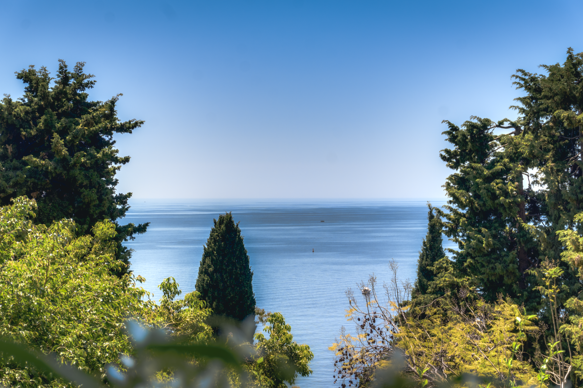 maison provençale 8 Pièces en vente sur ROQUEBRUNE CAP MARTIN (06190)