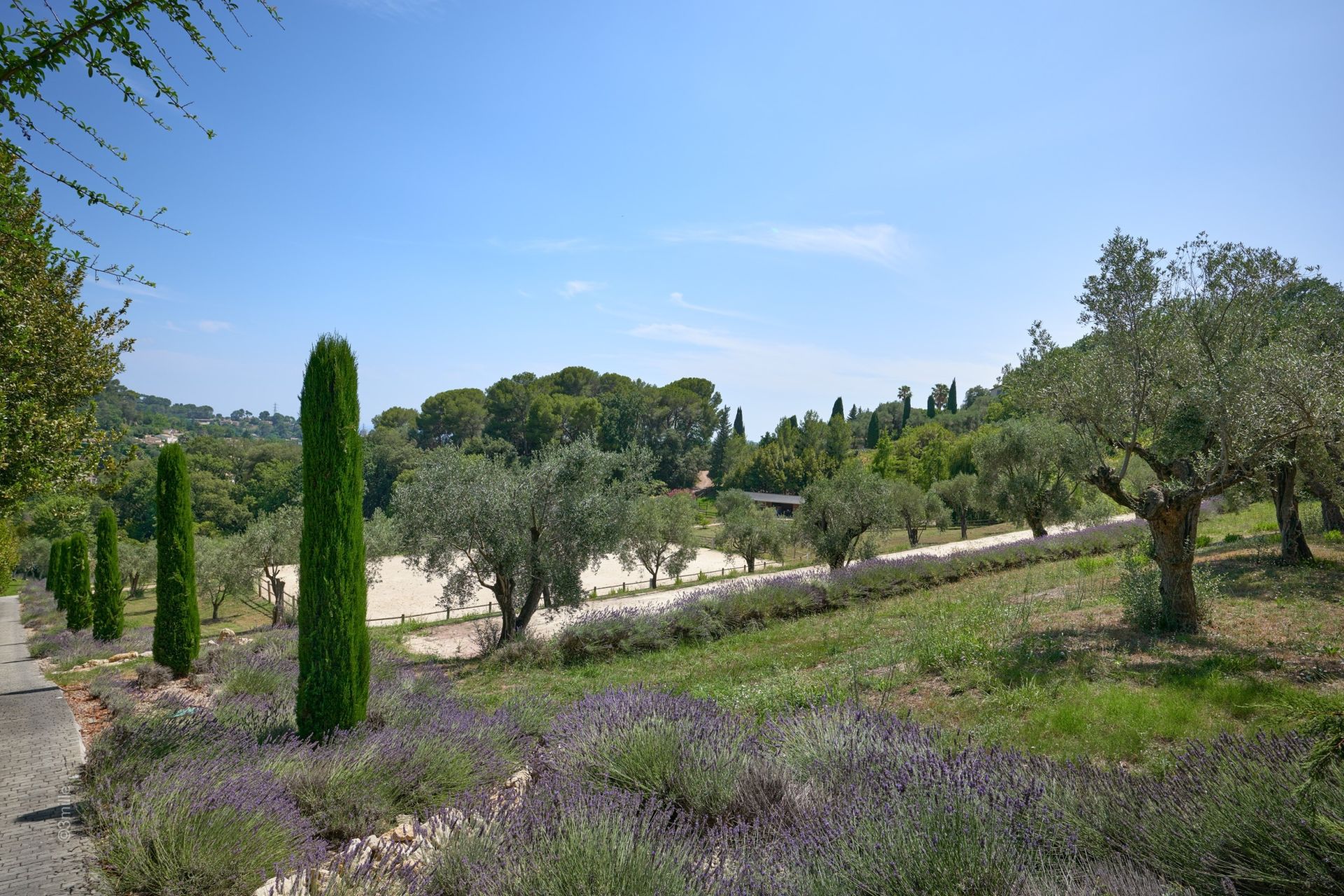 property 15 Rooms for sale on MOUGINS (06250)
