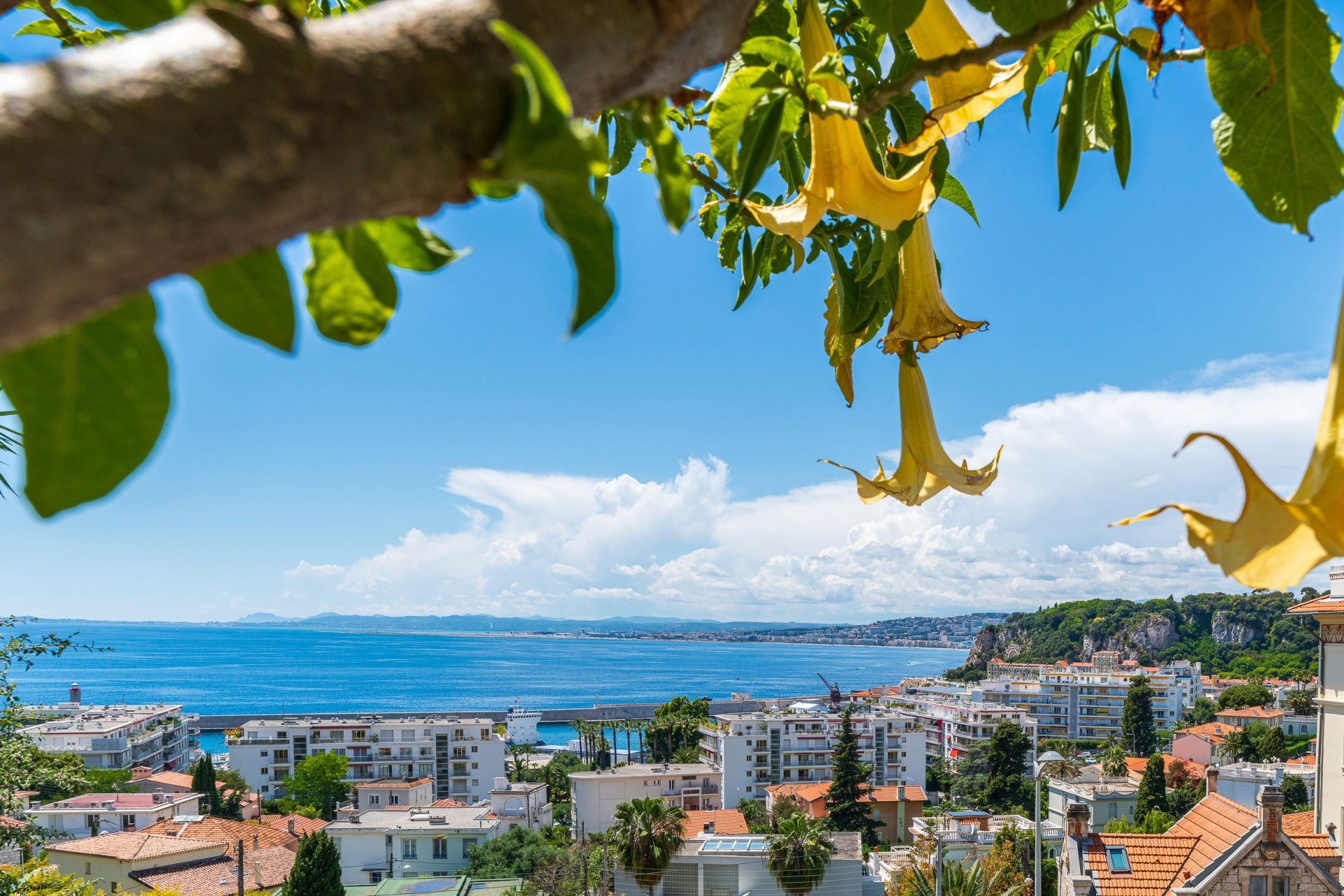 apartment 3 Rooms for sale on NICE (06000)
