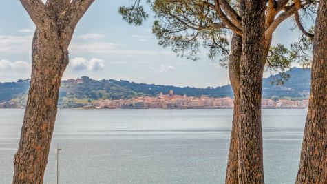 Sale Contemporary house Grimaud 10 Rooms 305 m²