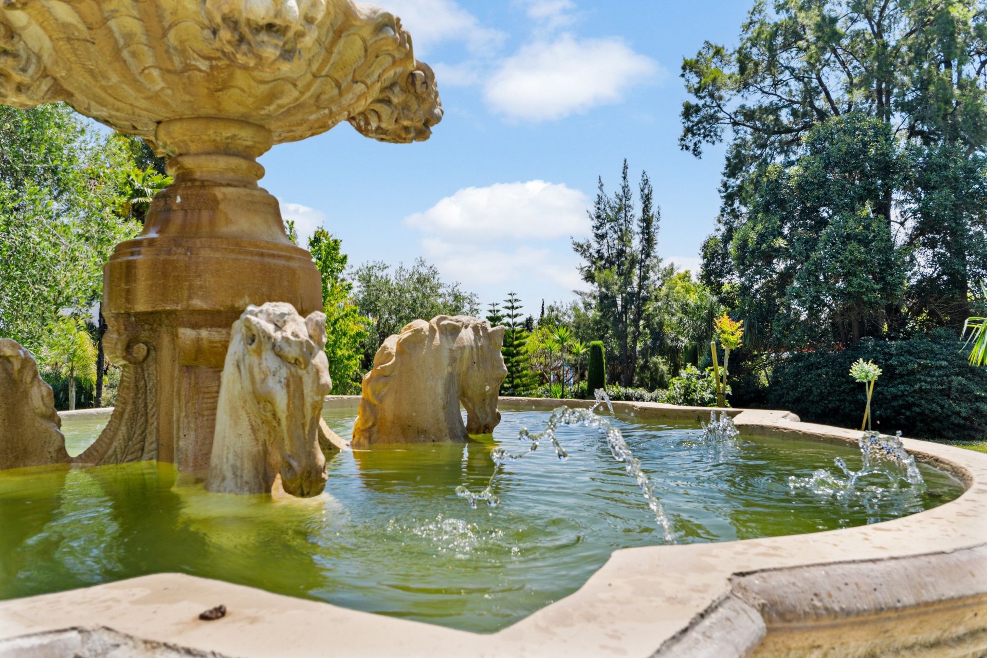 appartement 1 pièce en vente sur CANNES (06400)