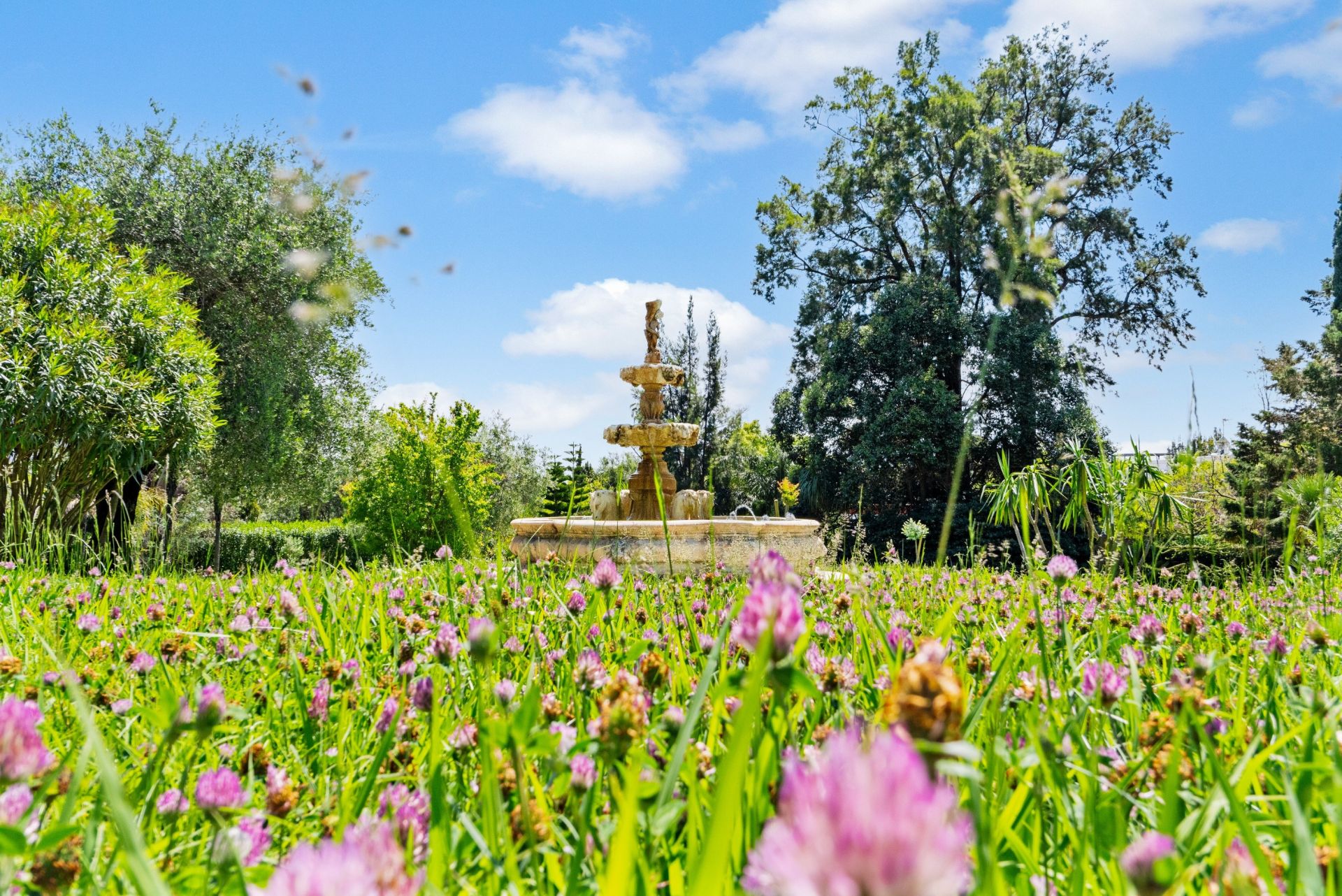 appartement 1 pièce en vente sur CANNES (06400)