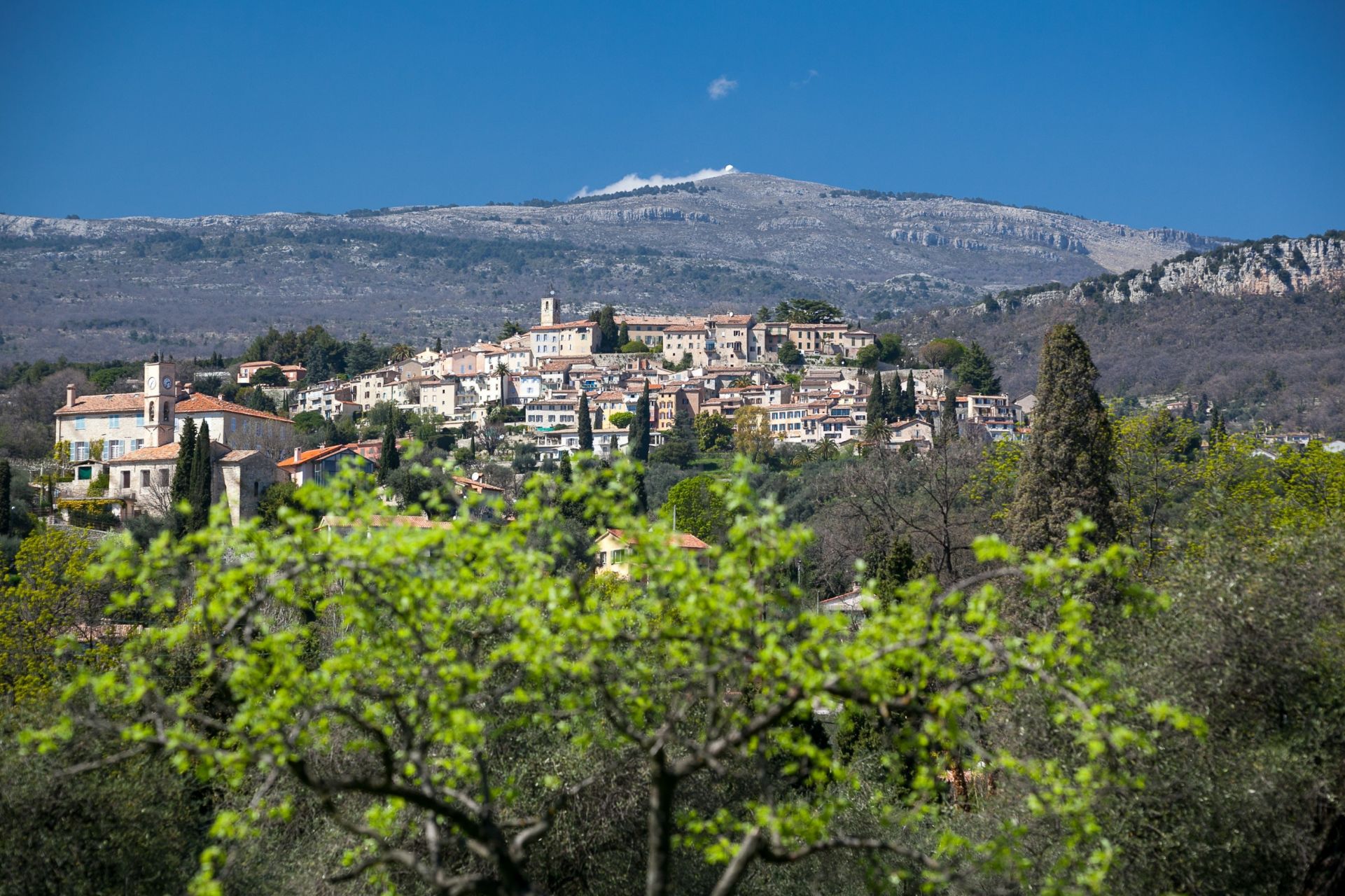 maison provençale 20 Pièces en vente sur OPIO (06650)