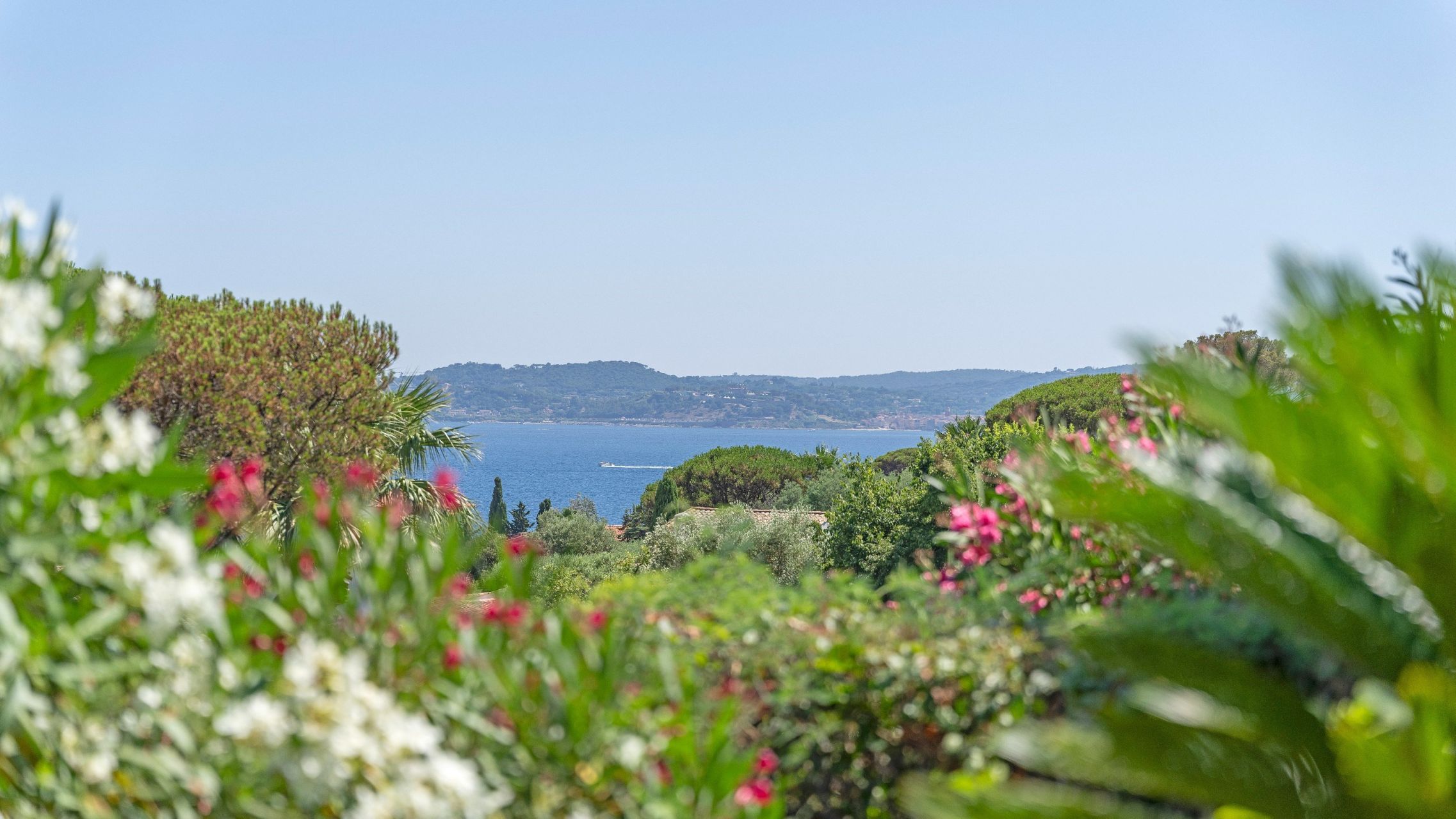 villa 11 Pièces en vente sur STE MAXIME (83120)