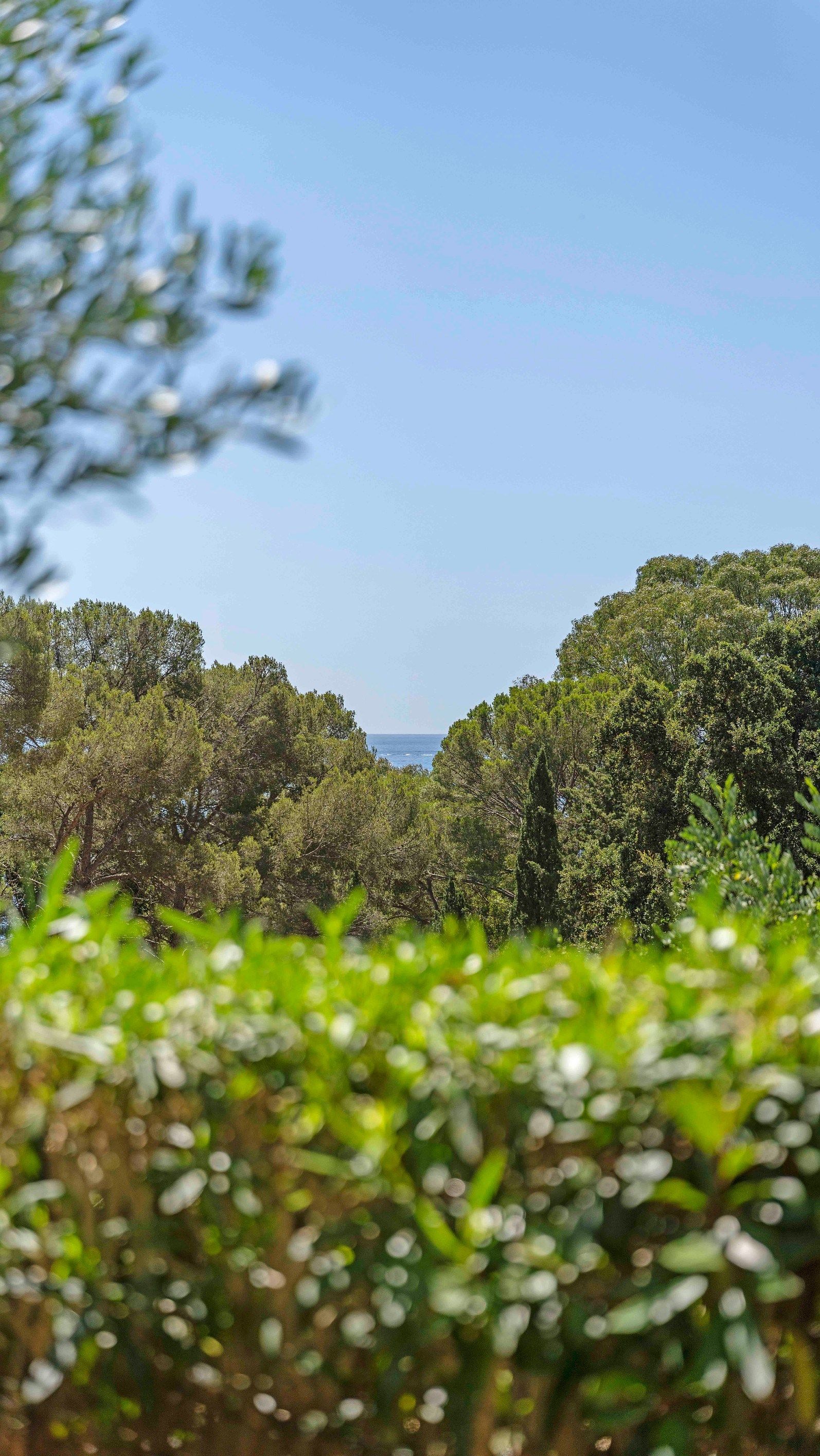 apartment 3 Rooms for sale on LES ISSAMBRES (83380)