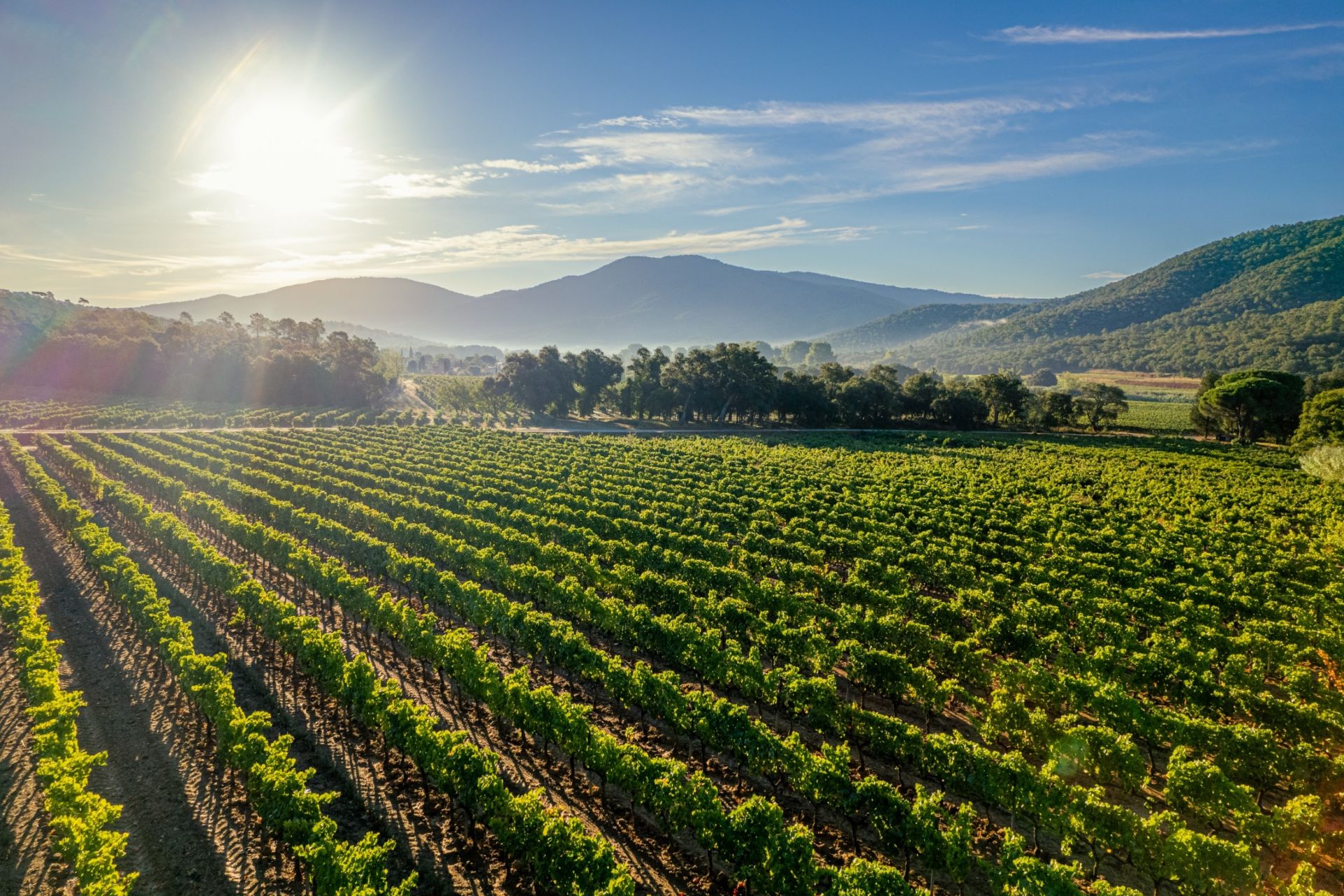 maison provençale 2 Pièces en vente sur RAMATUELLE (83350)