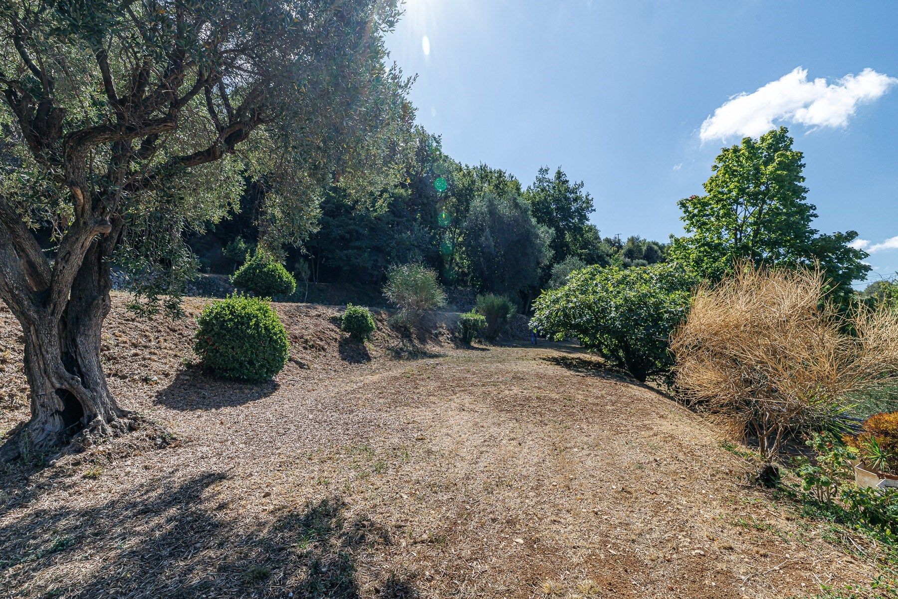 terrain en vente sur ASPREMONT (06790)