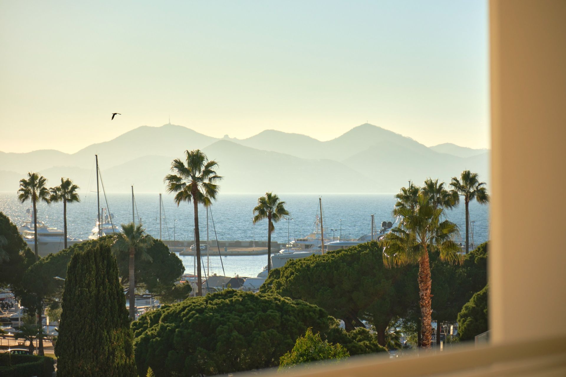 appartement 2 Pièces en vente sur CANNES (06400)