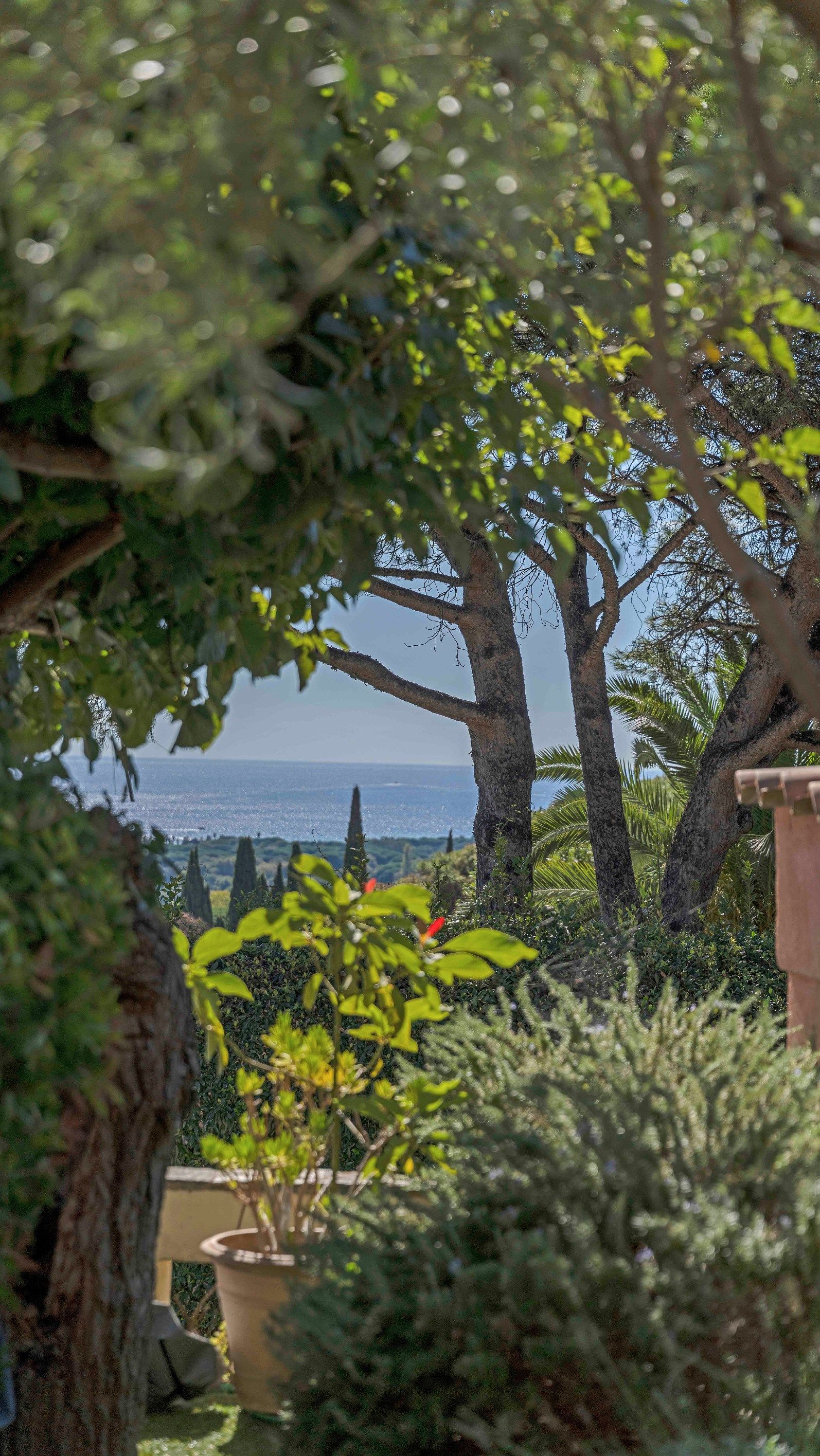 villa 9 Pièces en vente sur ST TROPEZ (83990)