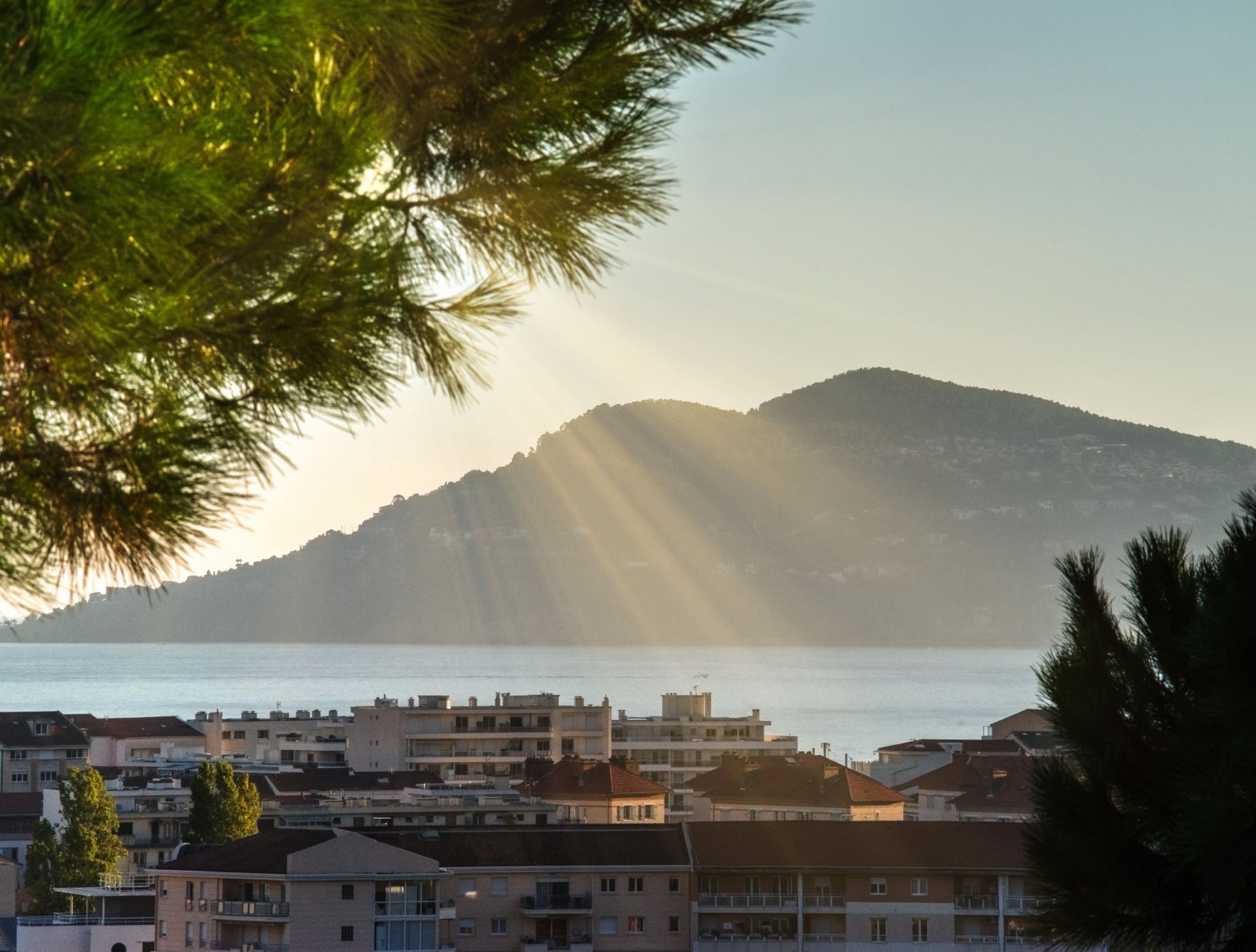 villa 8 Pièces en vente sur CANNES (06150)