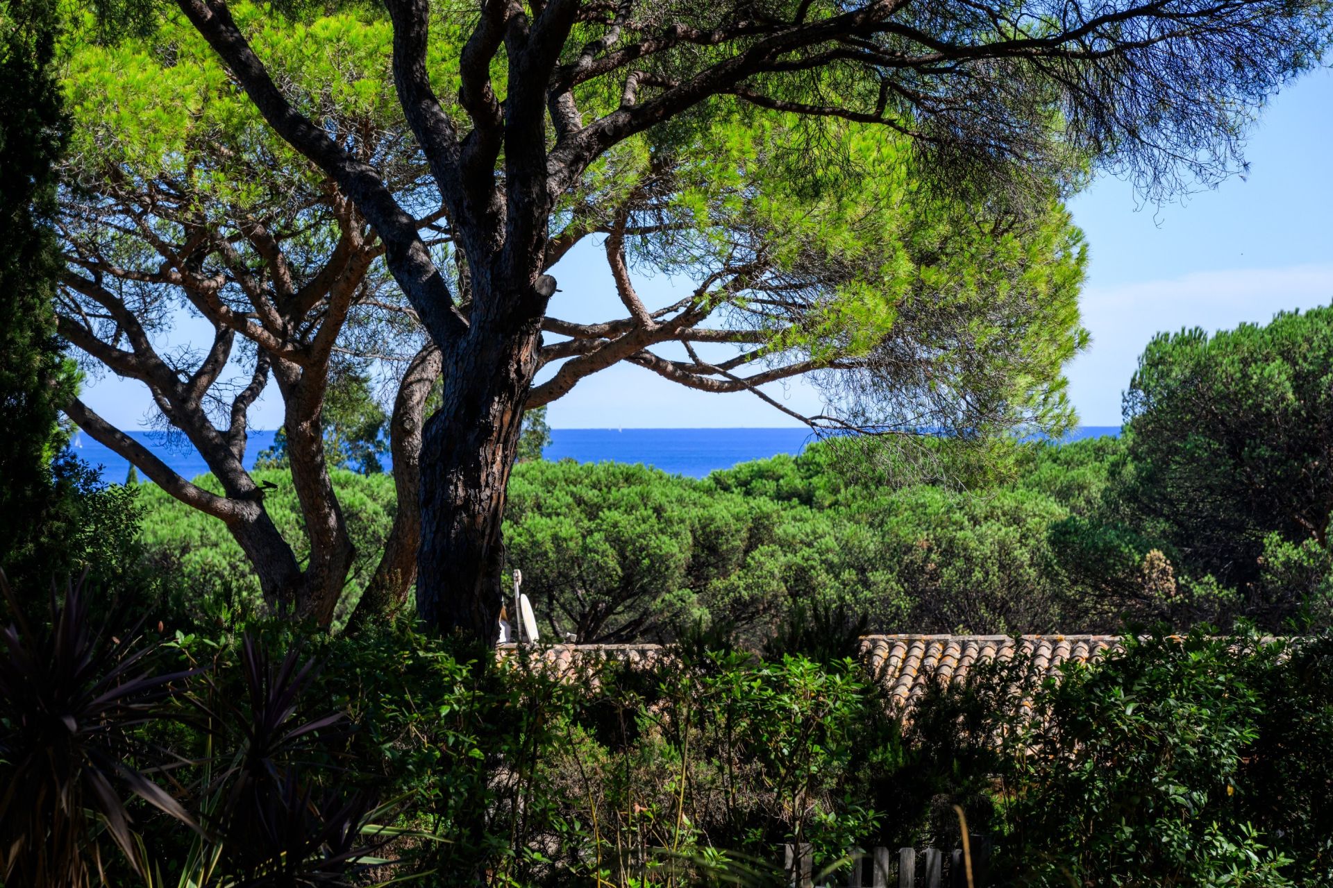 mazet 4 Pièces en vente sur RAMATUELLE (83350)