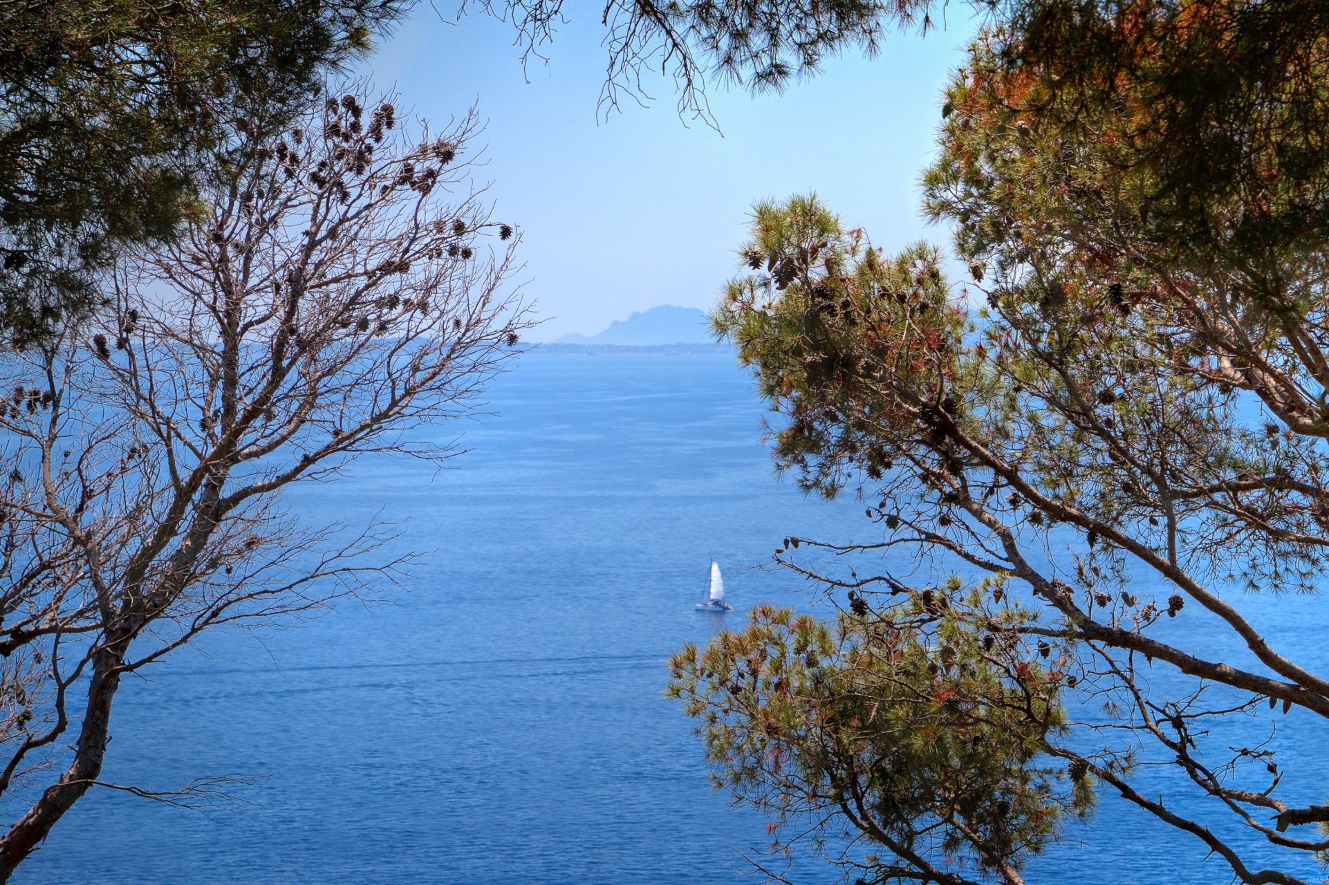 maison provençale 9 Pièces en vente sur ST JEAN CAP FERRAT (06230)
