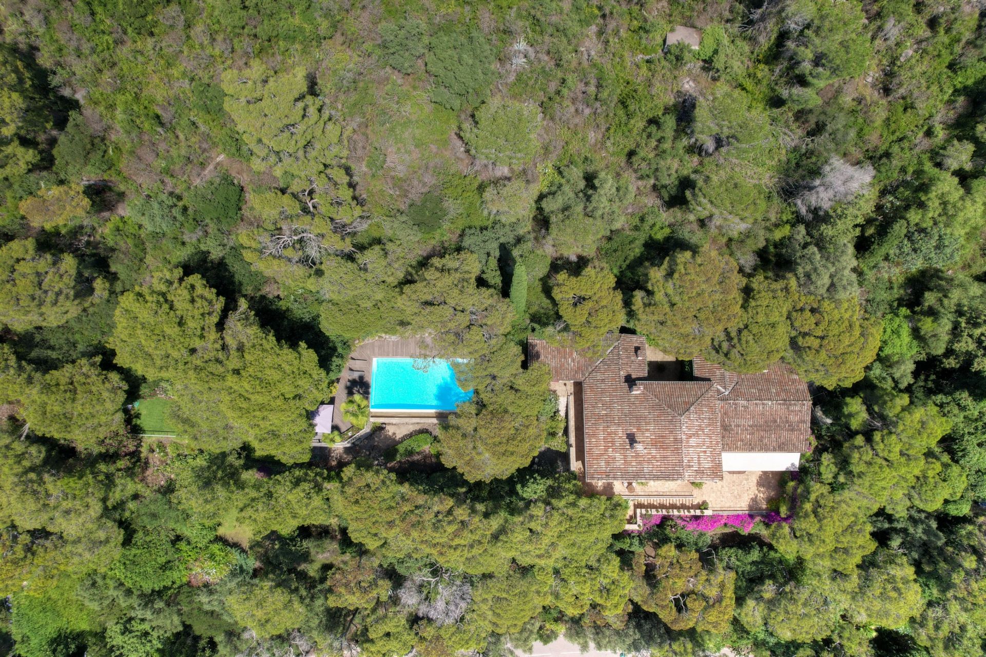 maison provençale 9 Pièces en vente sur ST JEAN CAP FERRAT (06230)