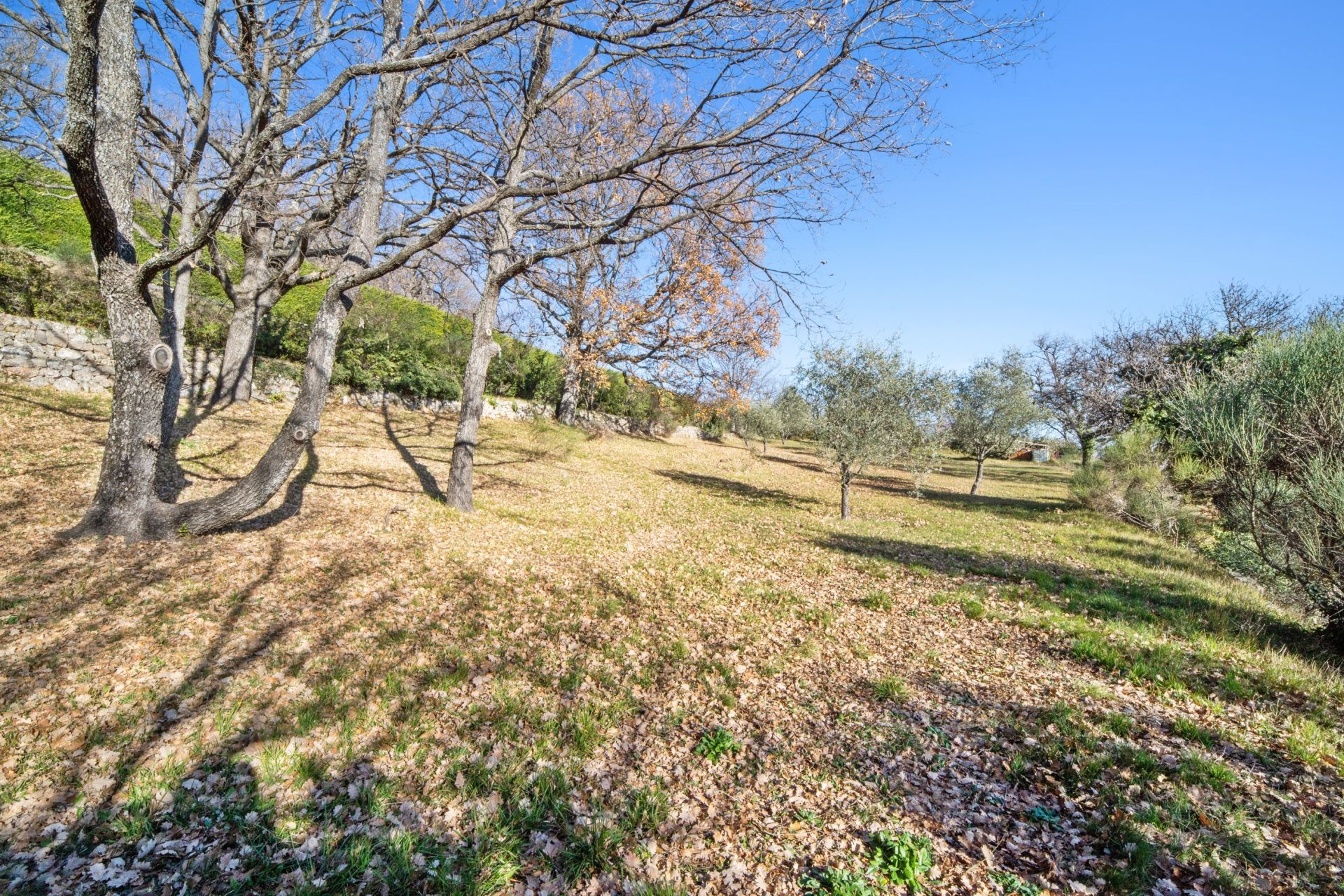 provencal house 5 Rooms for sale on MONS (83440)