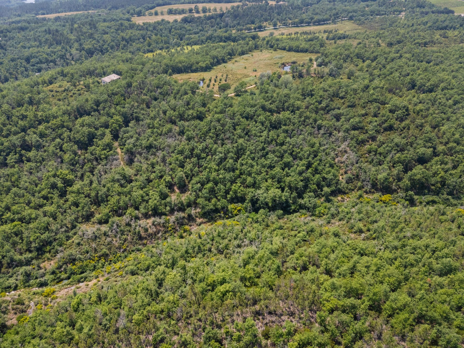 terrain agricole en vente sur FAYENCE (83440)