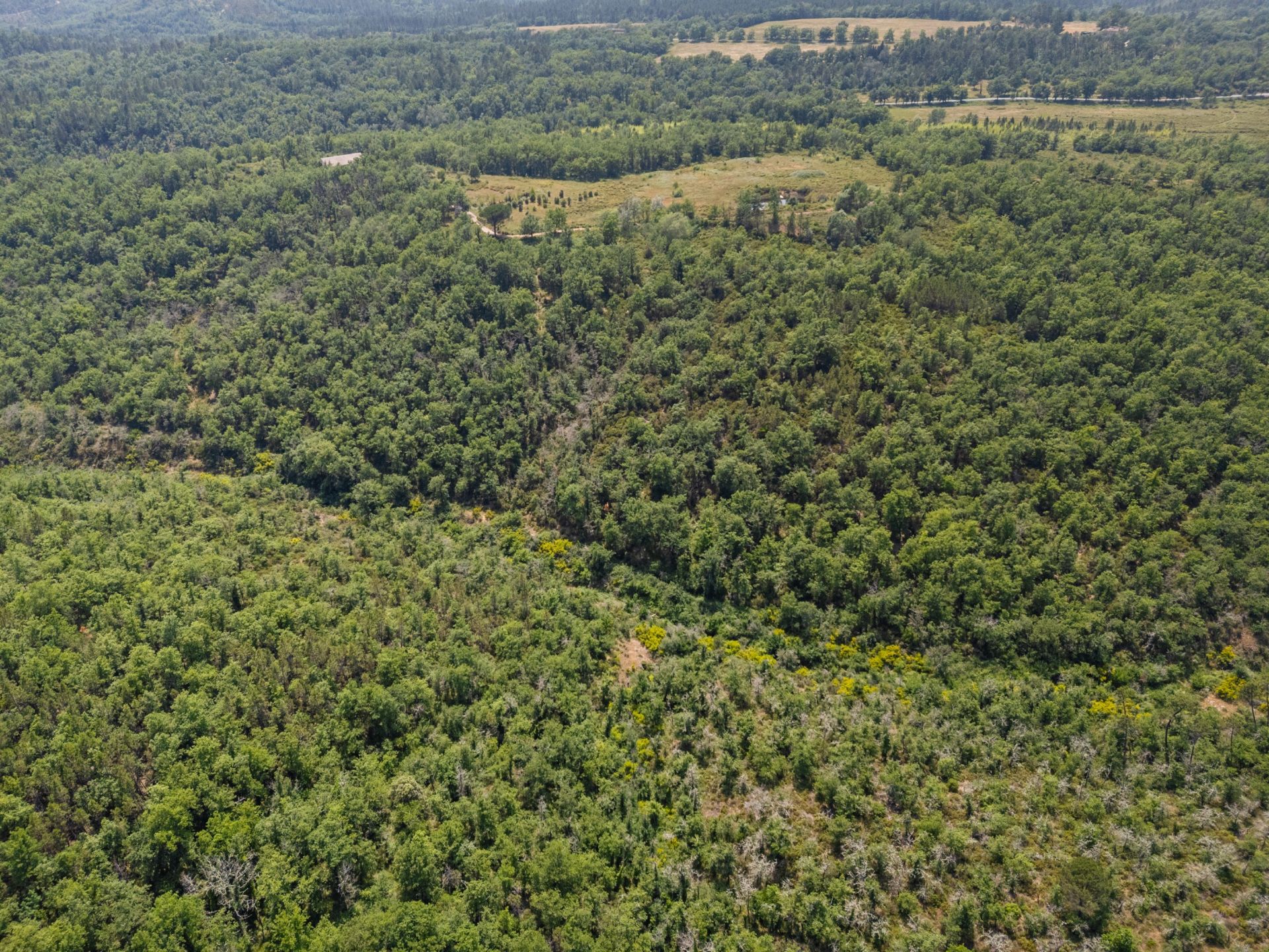 terrain agricole en vente sur FAYENCE (83440)