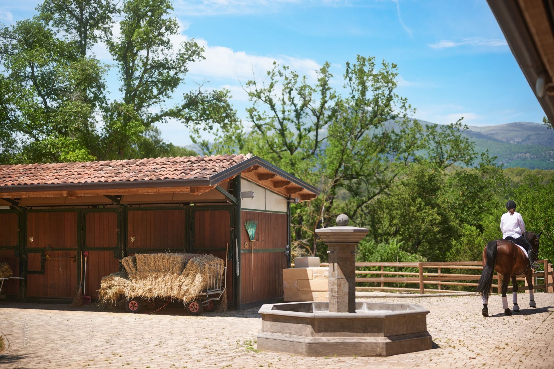 equestrian property 14 Rooms for sale on ROQUEFORT LES PINS (06330)