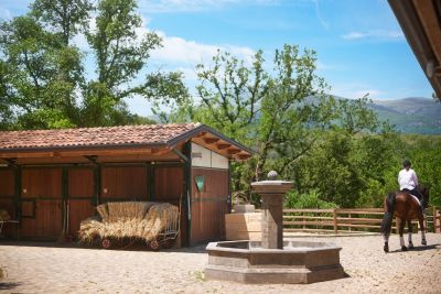 Sale Equestrian property Roquefort-les-Pins 14&nbsp;Rooms 700&nbsp;m²