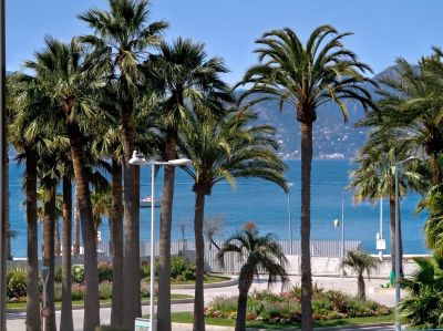 Vente Maison bourgeoise Cannes 7&nbsp;Pièces 340&nbsp;m²