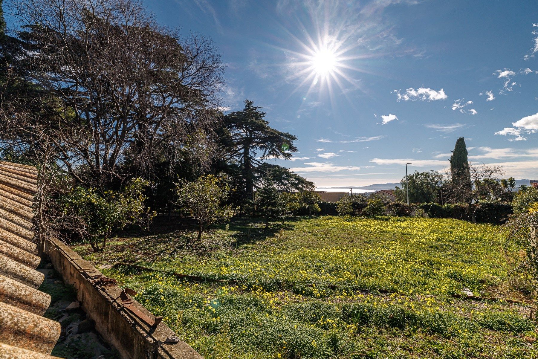 mansion 23 Rooms for sale on NICE (06000)