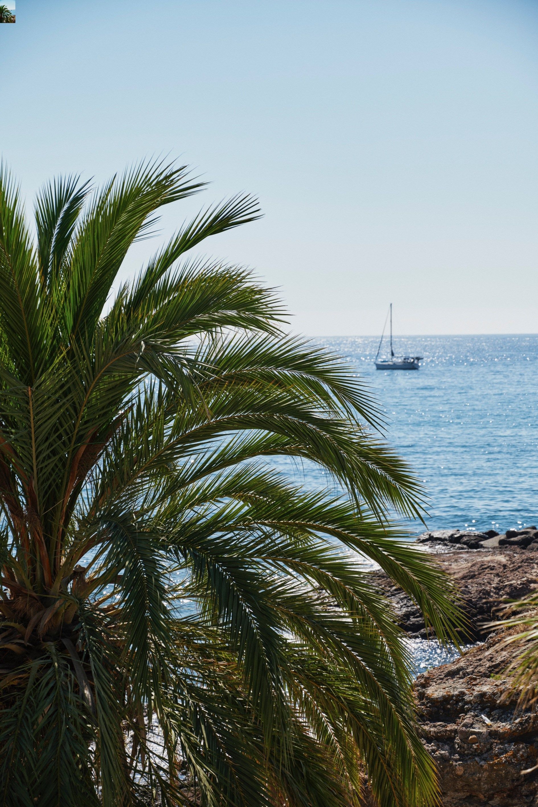 contemporary house 10 Rooms for sale on MANDELIEU LA NAPOULE (06210)