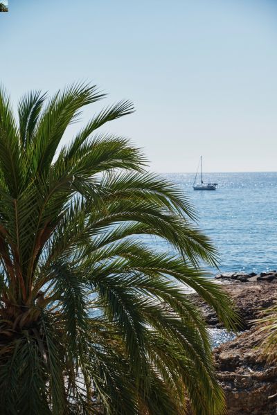 Sale Contemporary house Mandelieu-la-Napoule 10&nbsp;Rooms 470&nbsp;m²