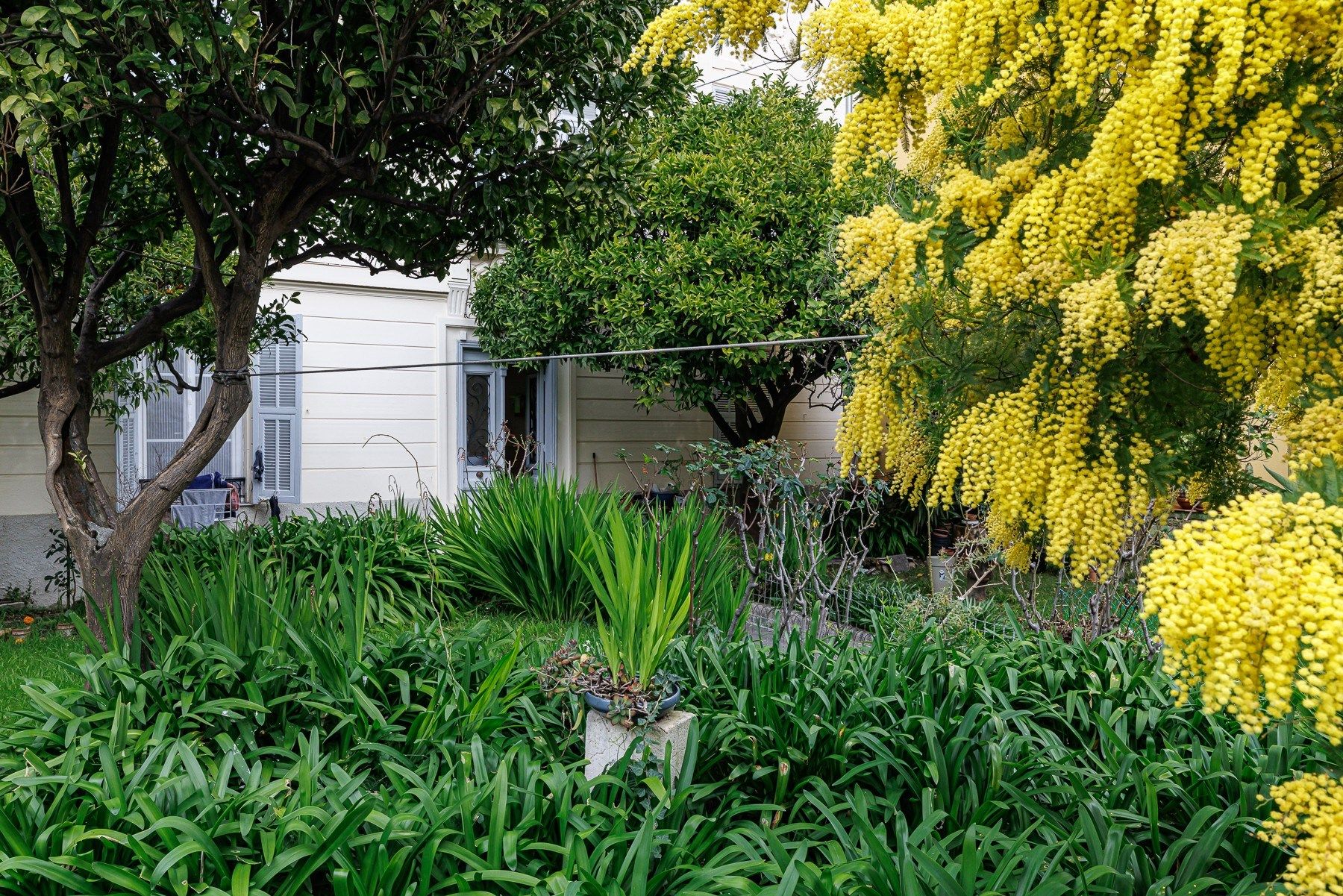 building for sale on NICE (06000)