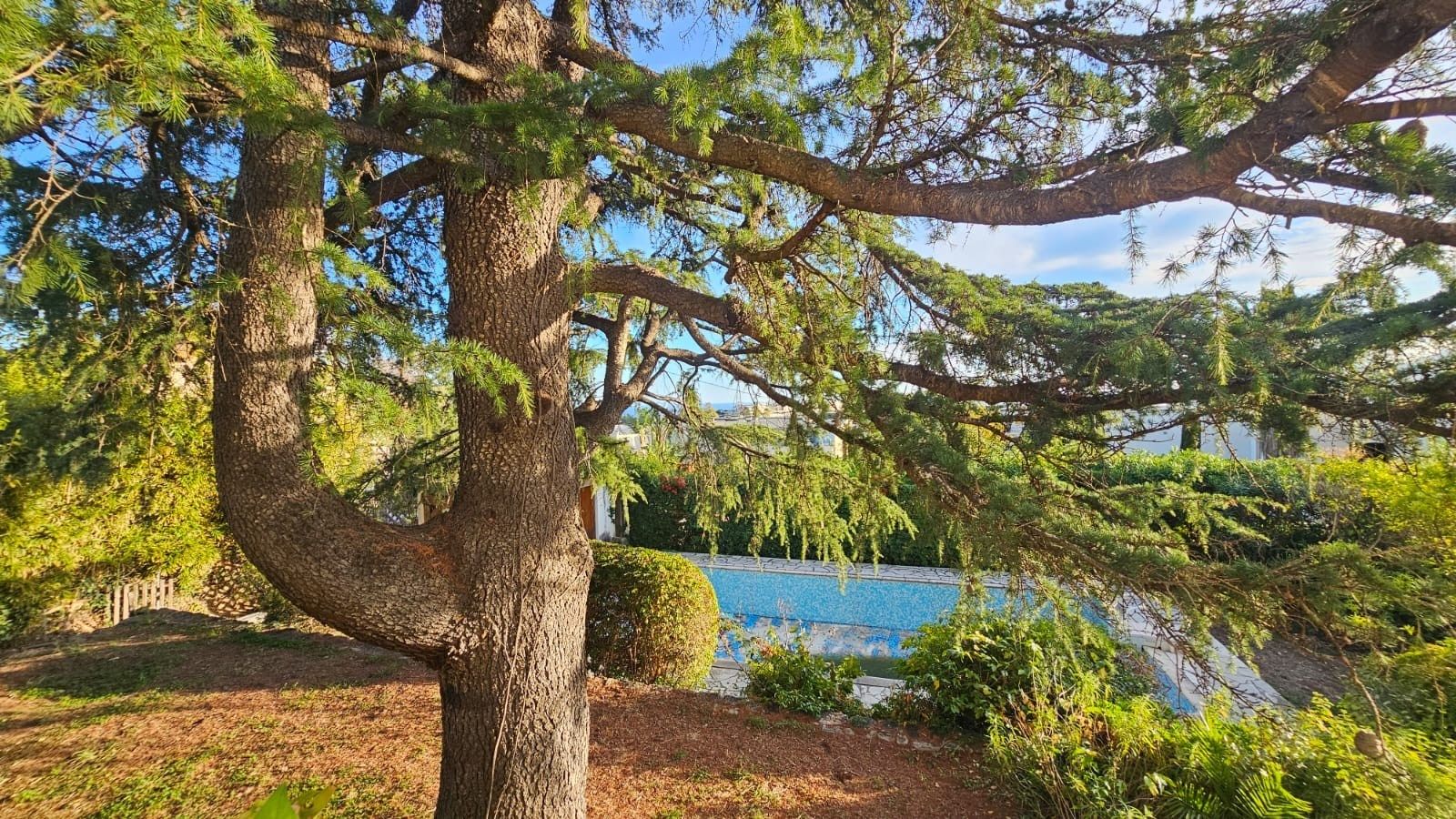 villa 4 Rooms for sale on CANNES (06400)