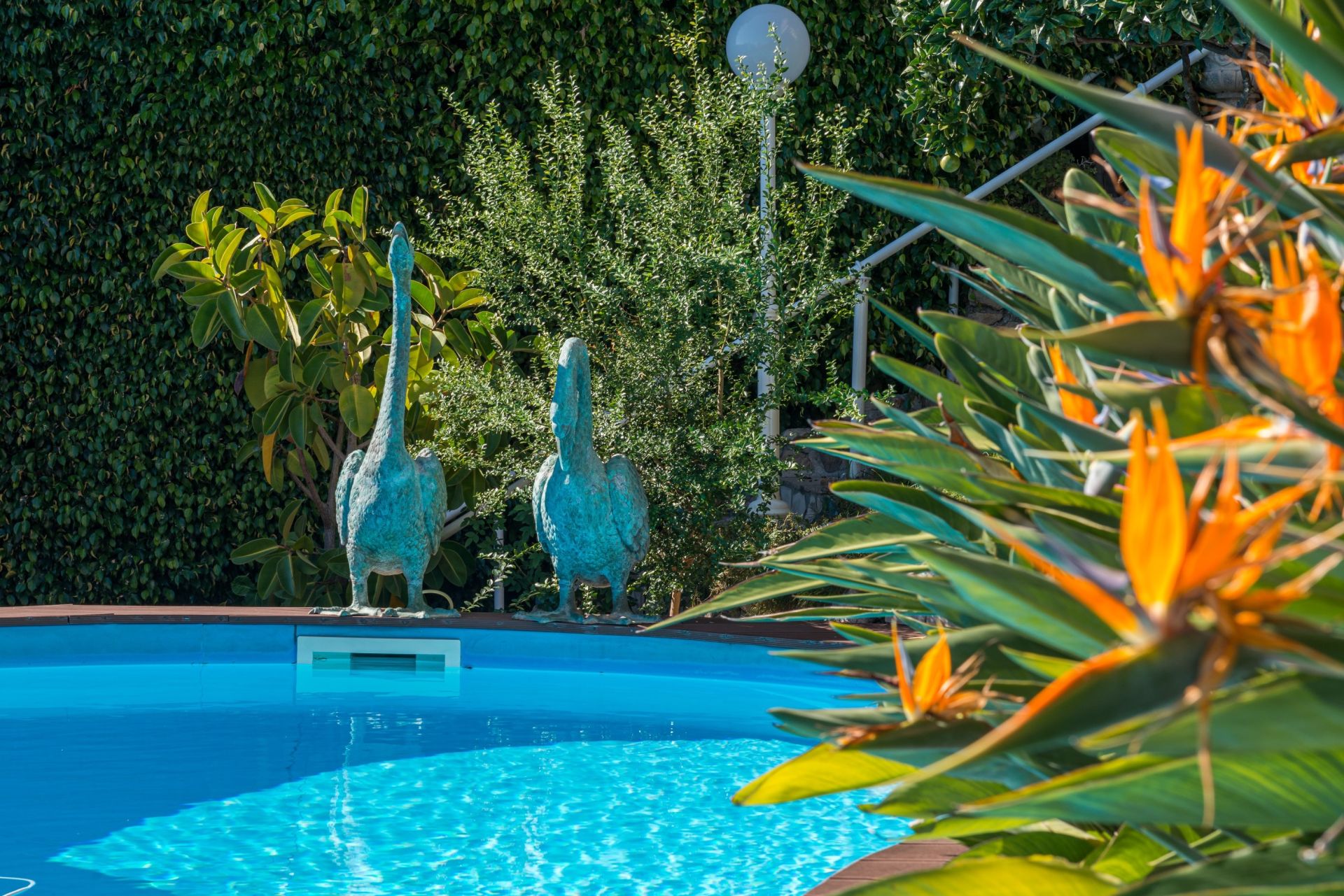 villa 5 Pièces en vente sur CAP D AIL (06320)