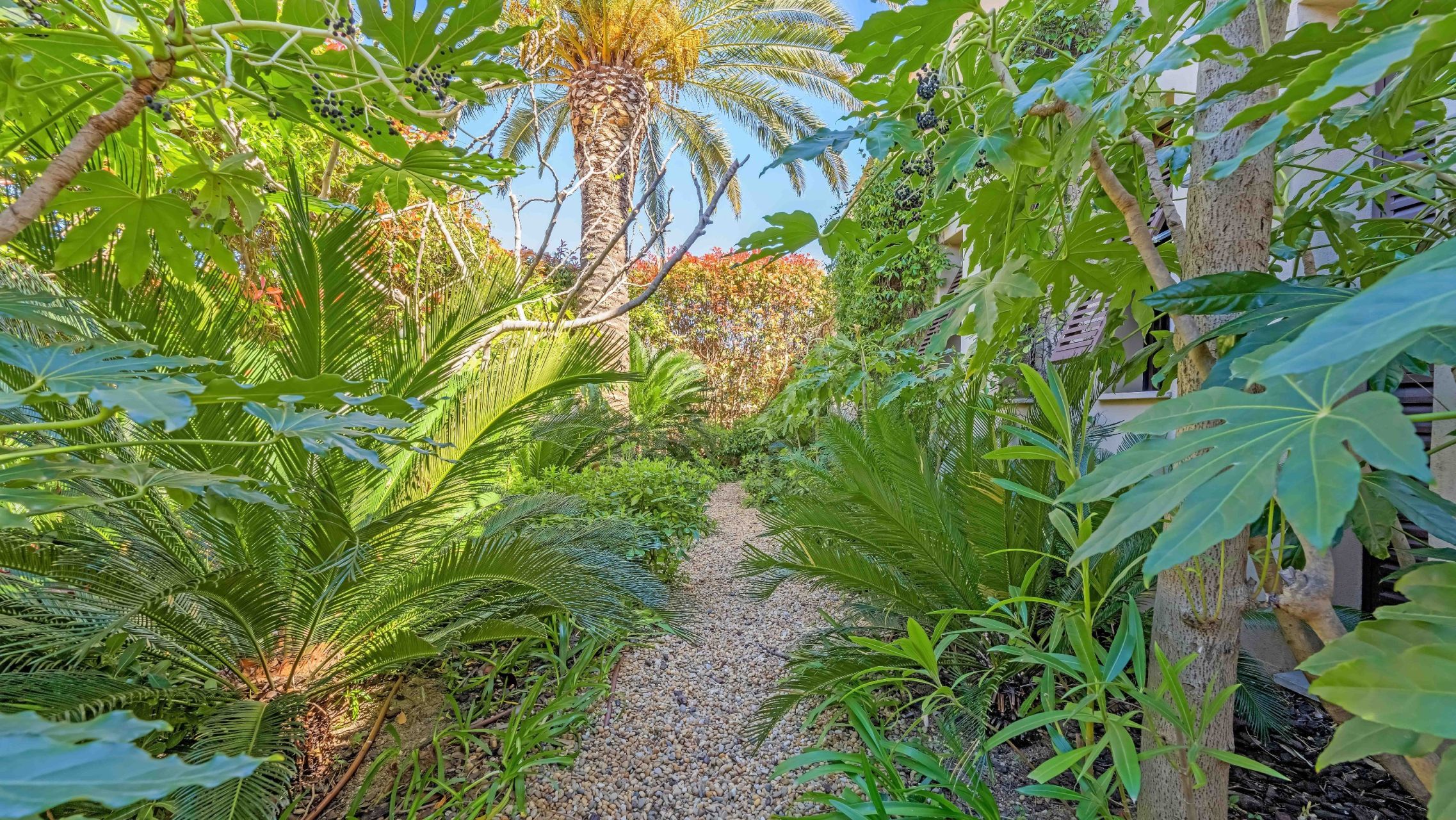 maison 8 Pièces en vente sur ST TROPEZ (83990)