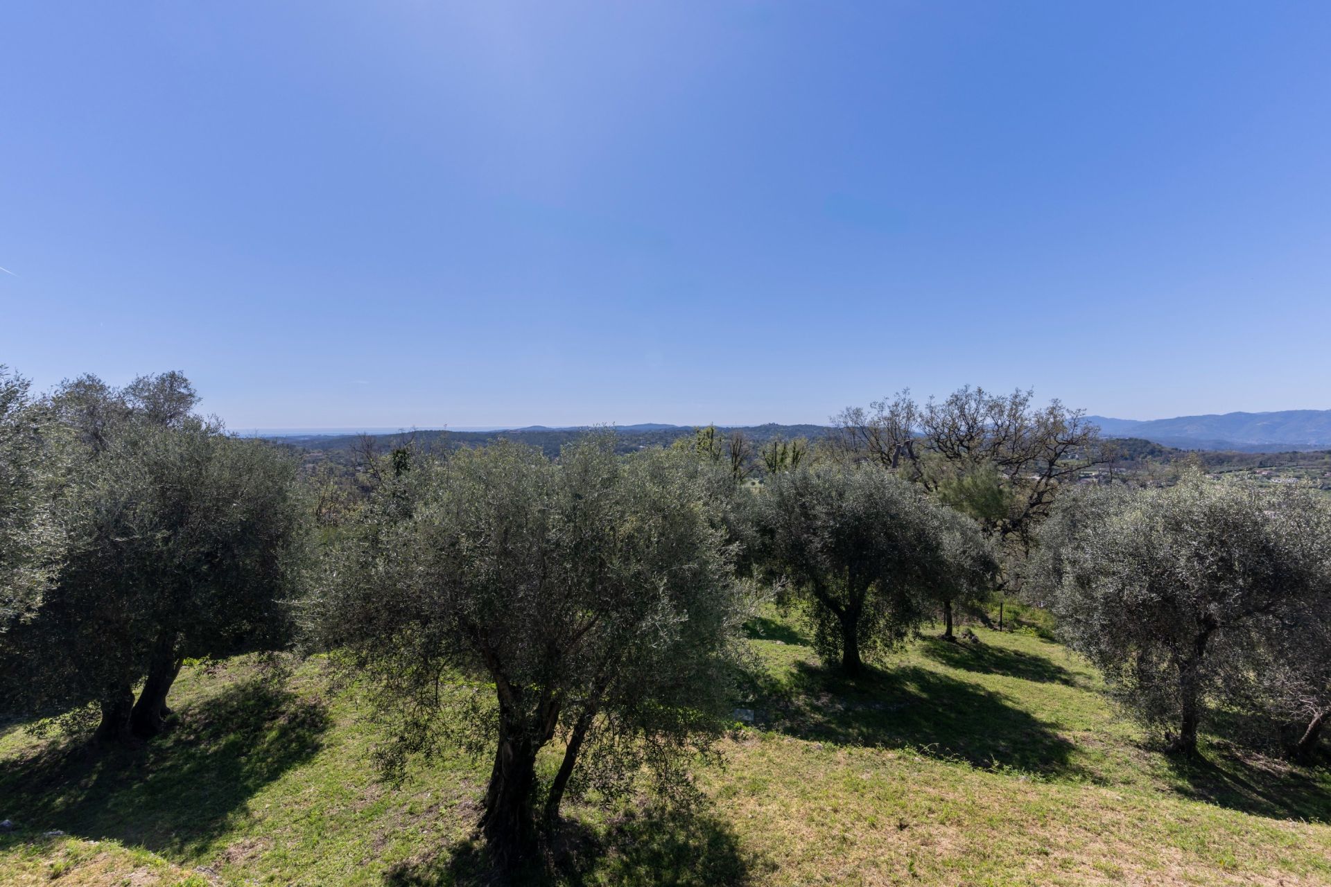 maison provençale 10 Pièces en vente sur CHATEAUNEUF GRASSE (06740)