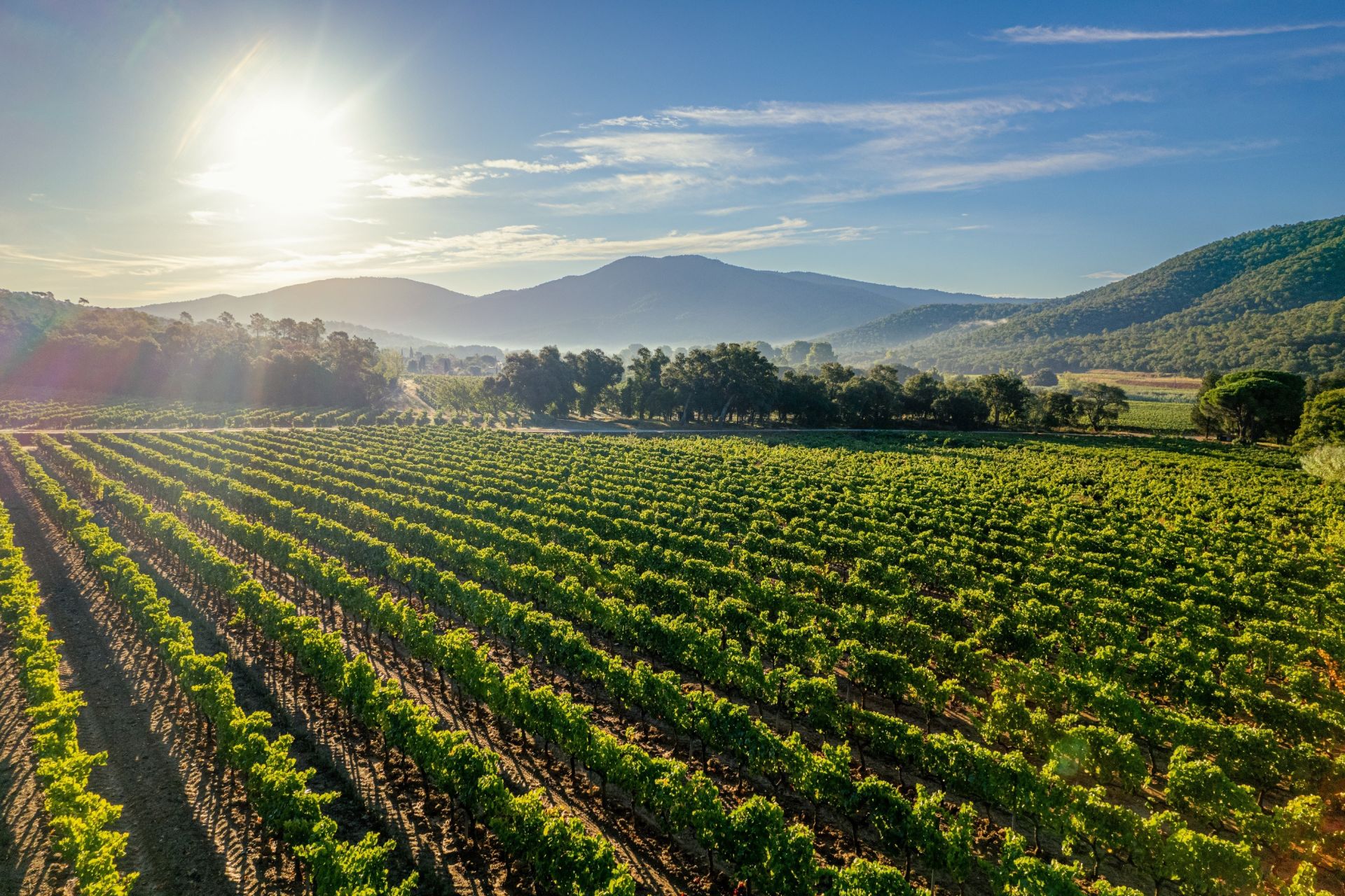 maison 4 Pièces en vente sur RAMATUELLE (83350)