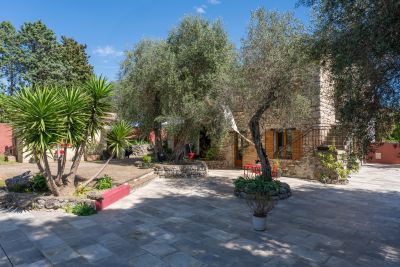 Vente Maison provençale Grasse 7&nbsp;Pièces 213&nbsp;m²
