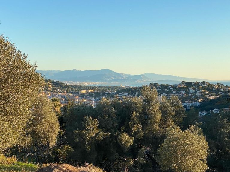 land for sale on VALLAURIS (06220)
