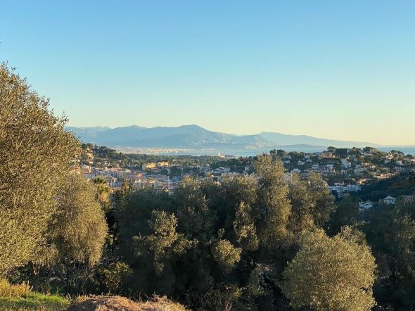 Sale Land Vallauris 1572&nbsp;m²