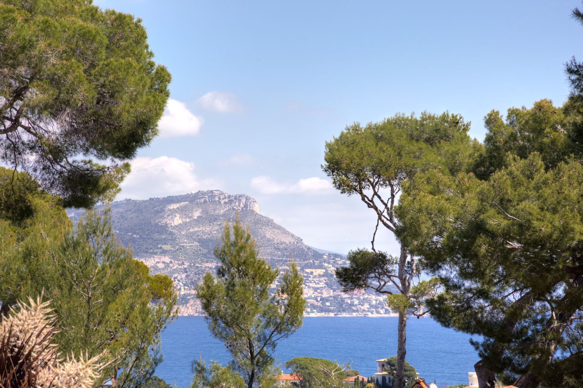 contemporary house 8 Rooms for sale on ST JEAN CAP FERRAT (06230)