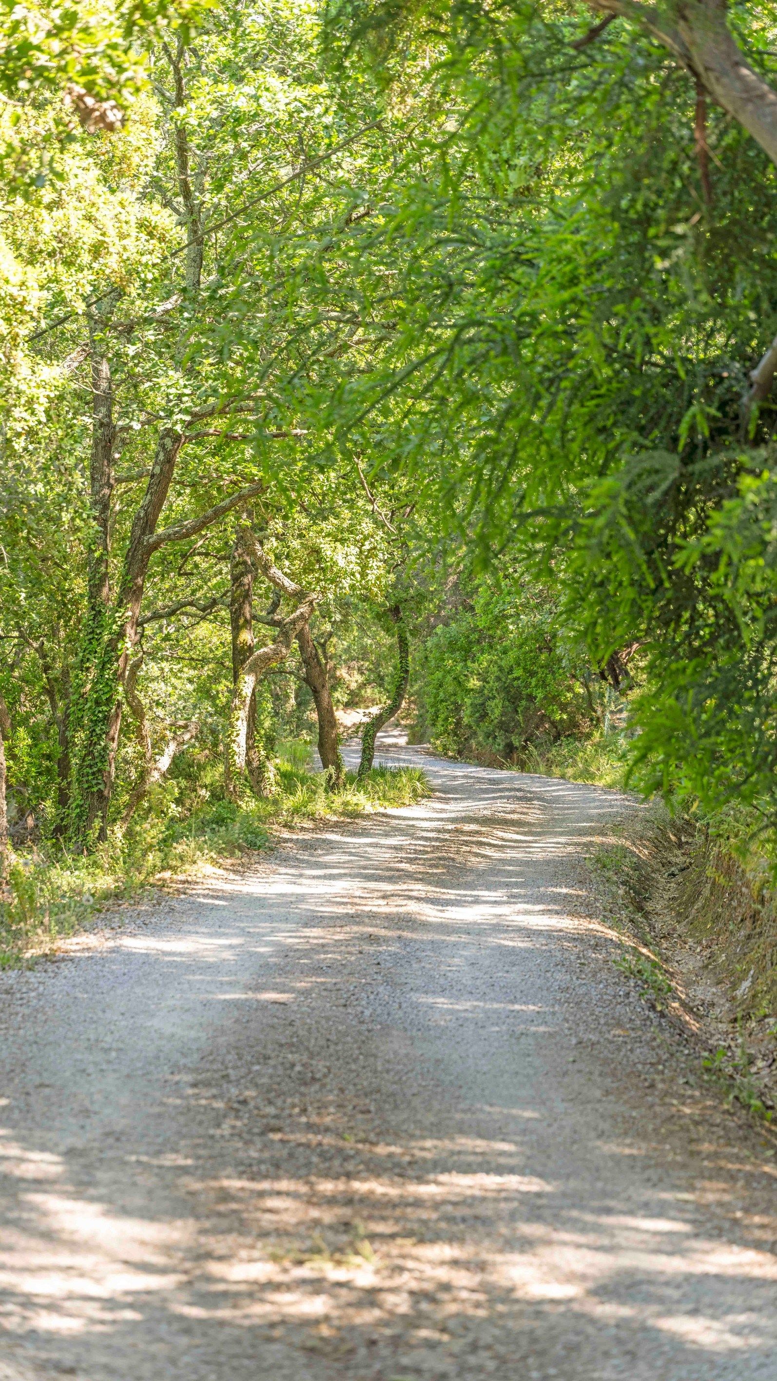 bastide 8 Pièces en vente sur GASSIN (83580)