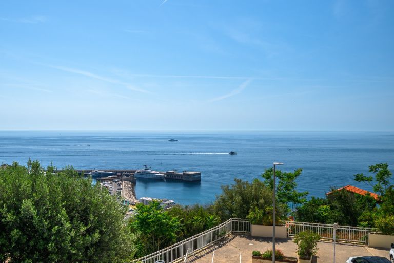 apartment 3 Rooms for sale on CAP D AIL (06320)