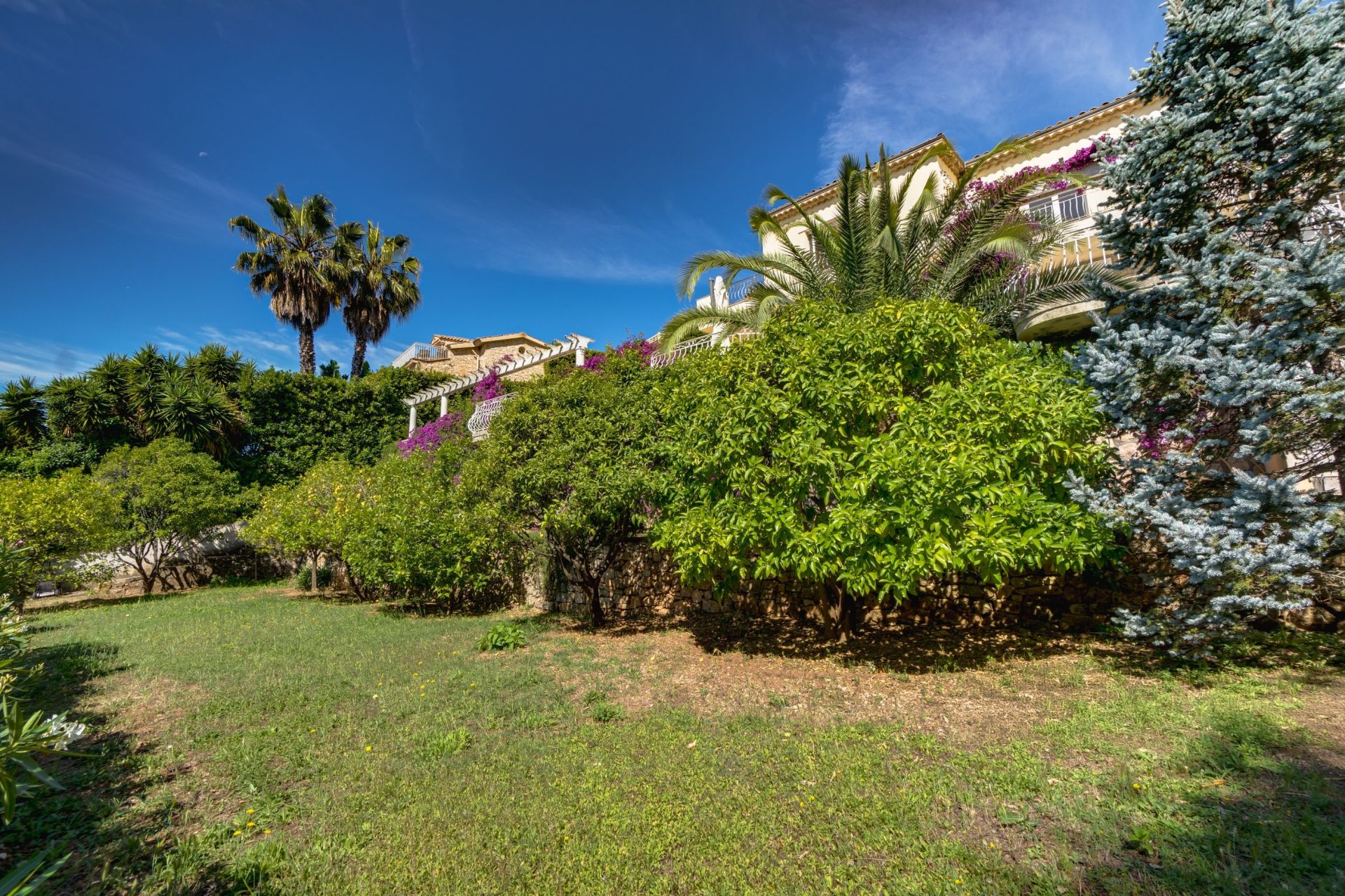 villa 6 Pièces en vente sur VALLAURIS (06220)