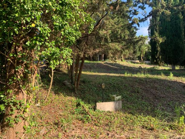 Vente Bâtisse à rénover Mougins 4&nbsp;Pièces 200&nbsp;m²