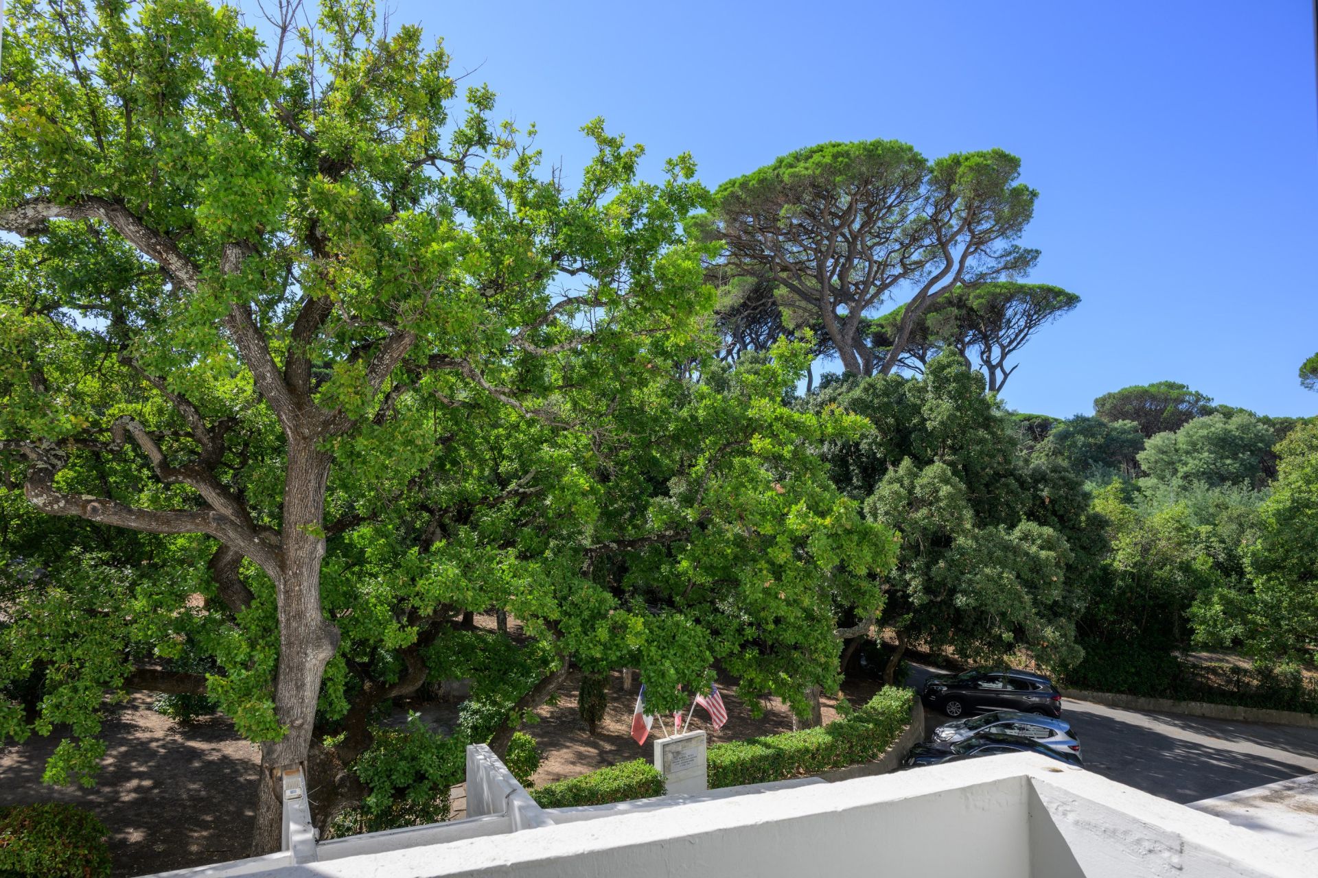 apartment 3 Rooms for sale on ST TROPEZ (83990)