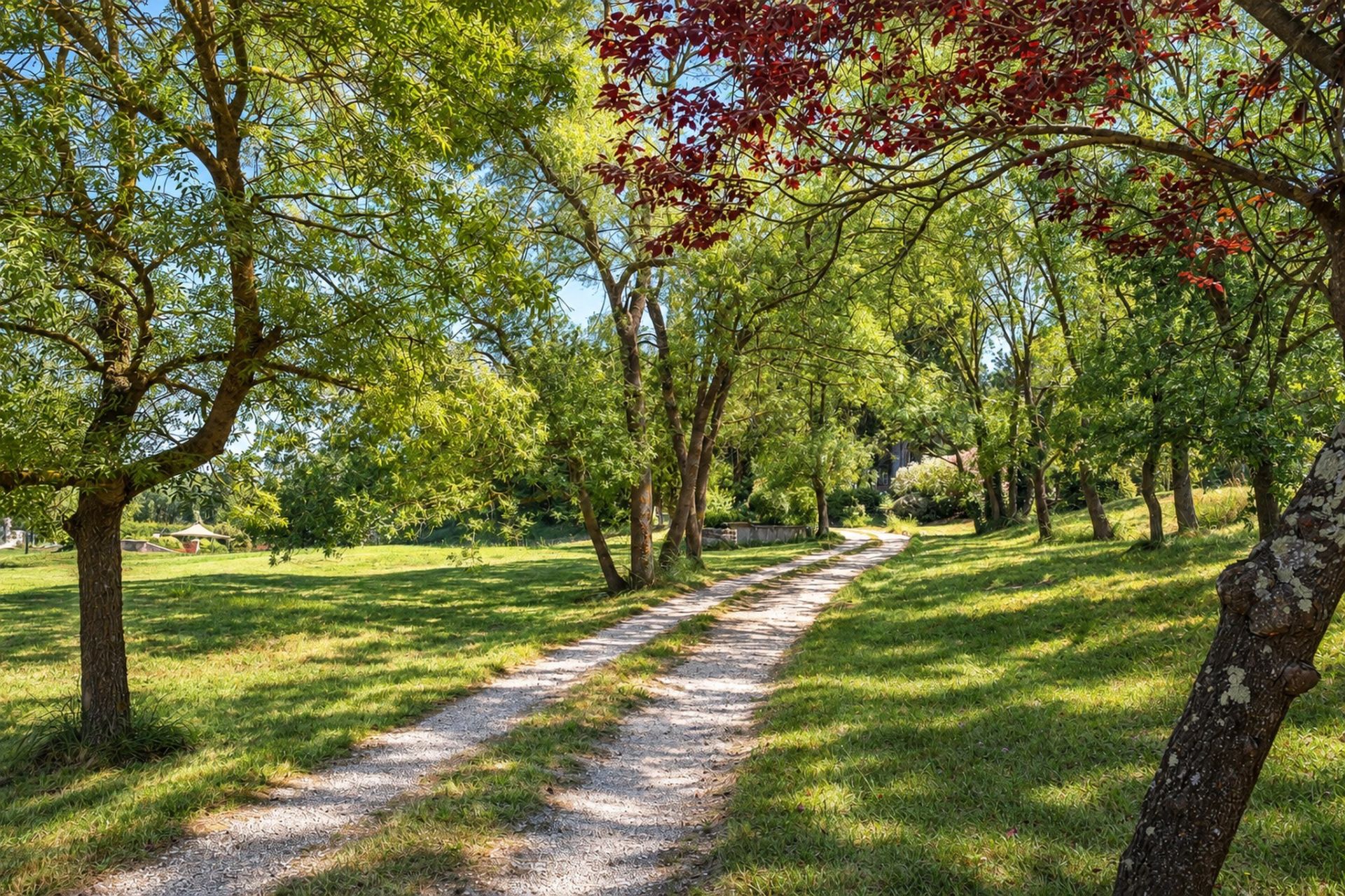 bastide 12 Pièces en vente sur CHATEAUNEUF GRASSE (06740)