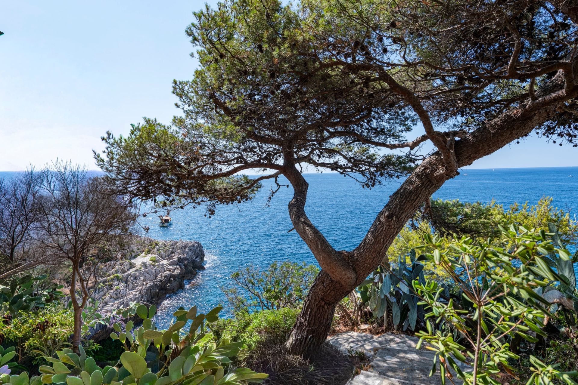 villa 6 Rooms for sale on NICE (06000)
