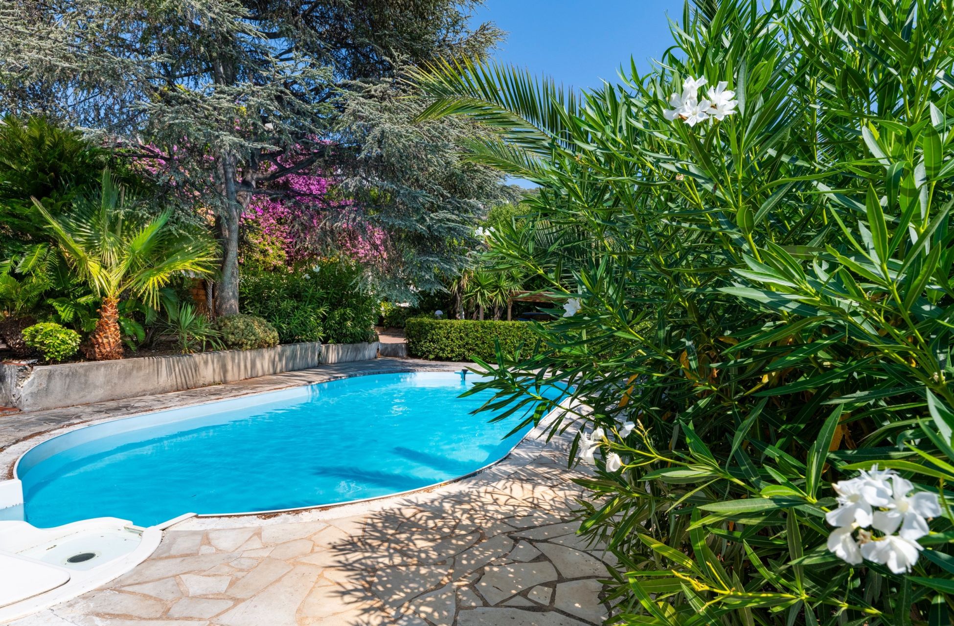appartement 3 Pièces en vente sur NICE (06000)