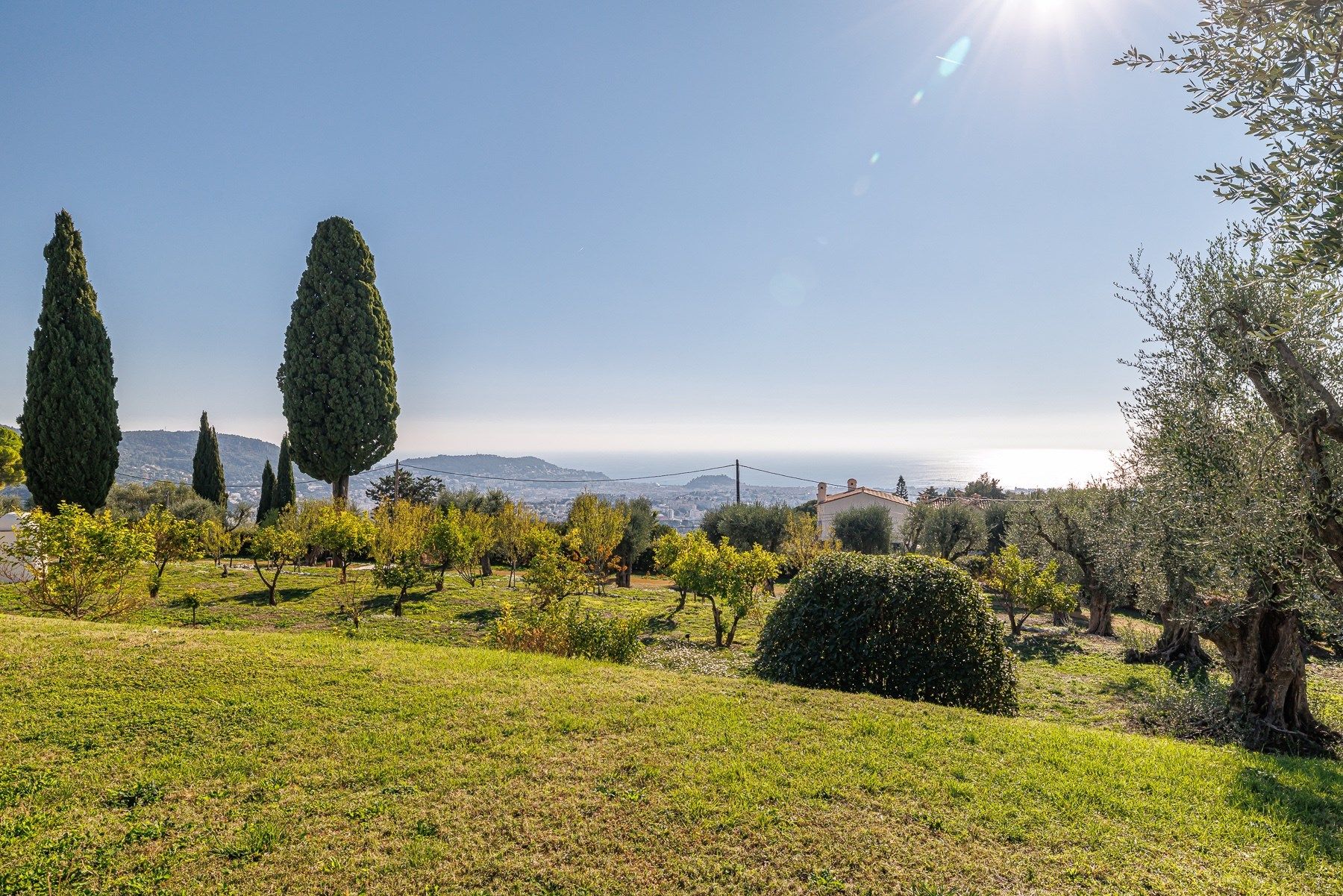 apartment 6 Rooms for sale on NICE (06000)